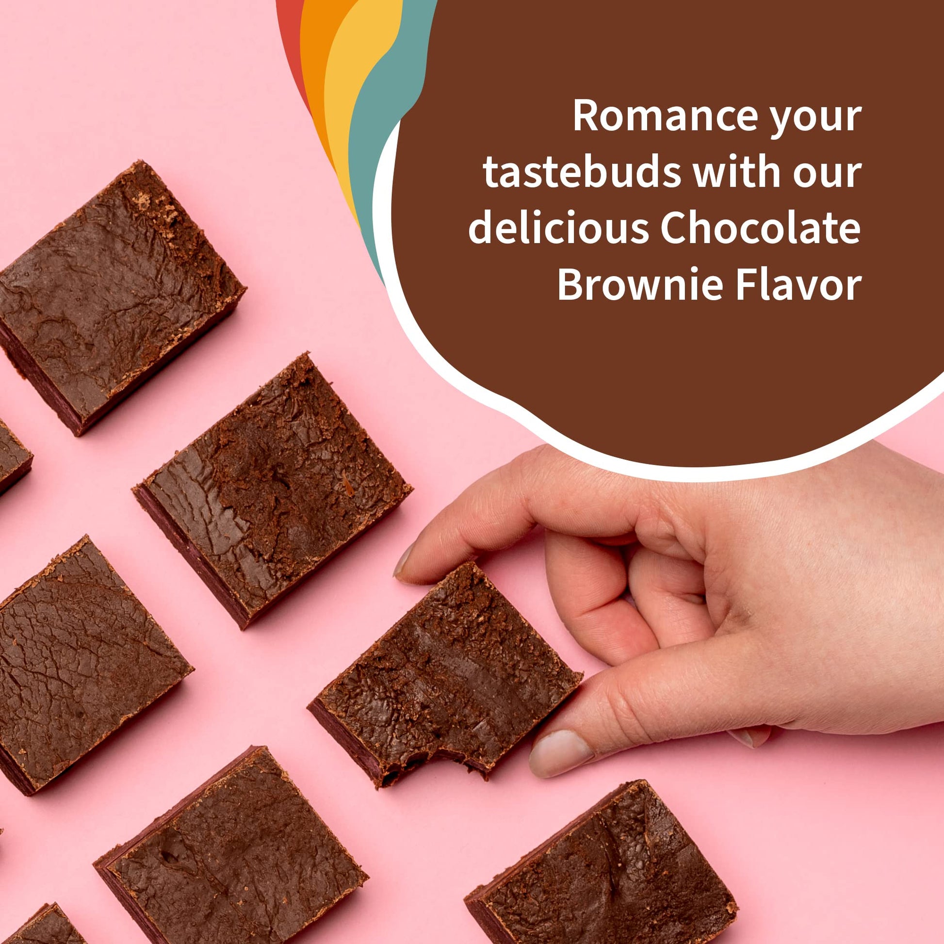 Garden of Life Creamy Organic Vegan Protein Powder + OatMilk, 20g Complete Plant - AB Mystery