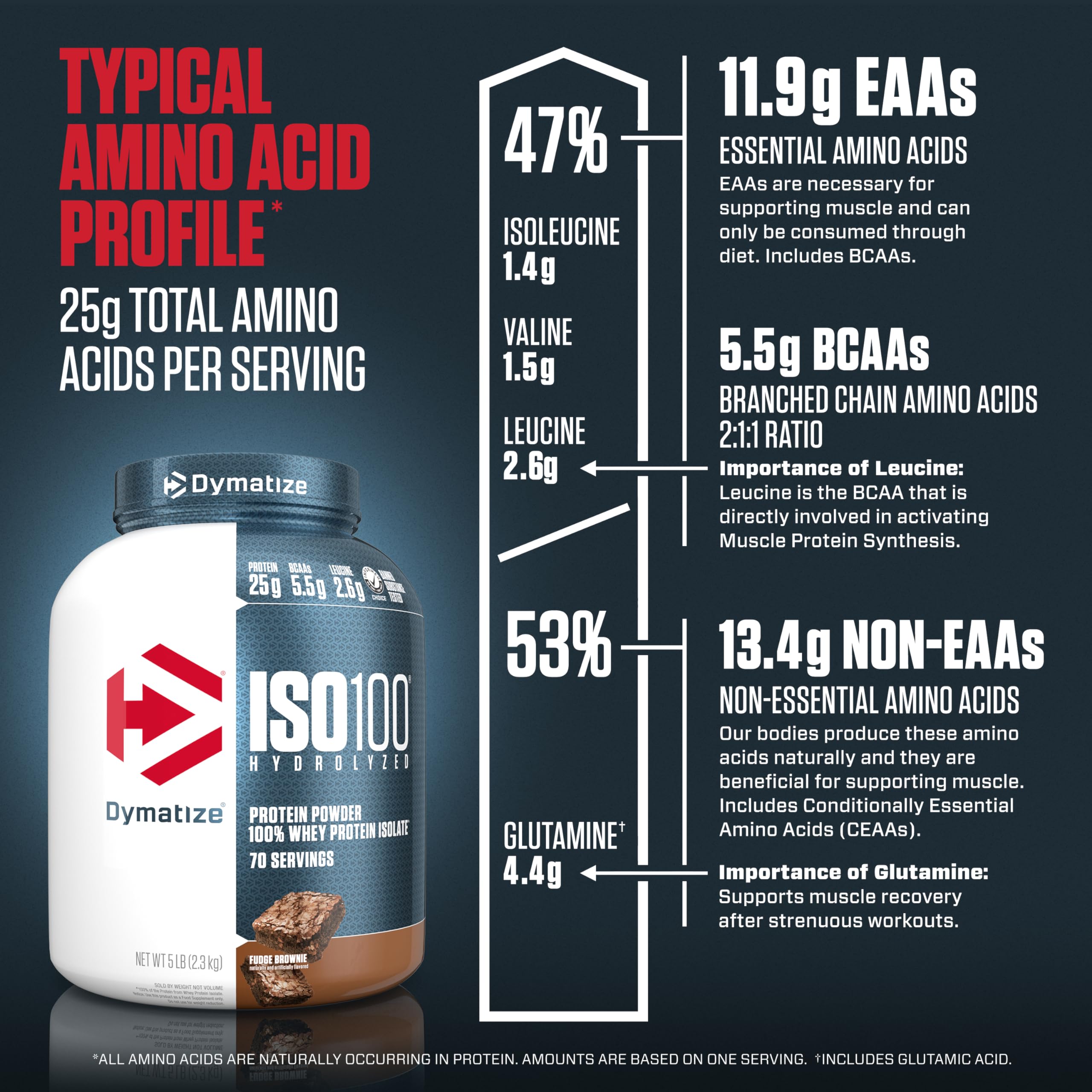 Dymatize ISO100 Hydrolyzed Protein Powder, 100% Whey Isolate Protein, 25g of Protein - AB Mystery