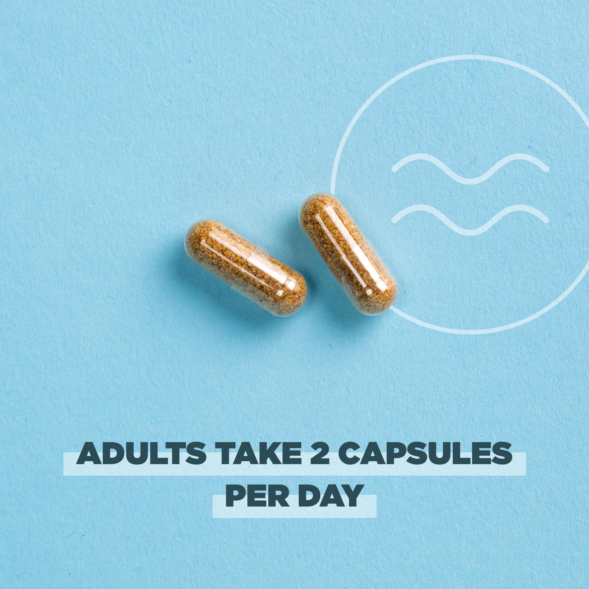 Ancient Nutrition Regenerative Organic Certified Probiotics for Menopause Support - AB Mystery