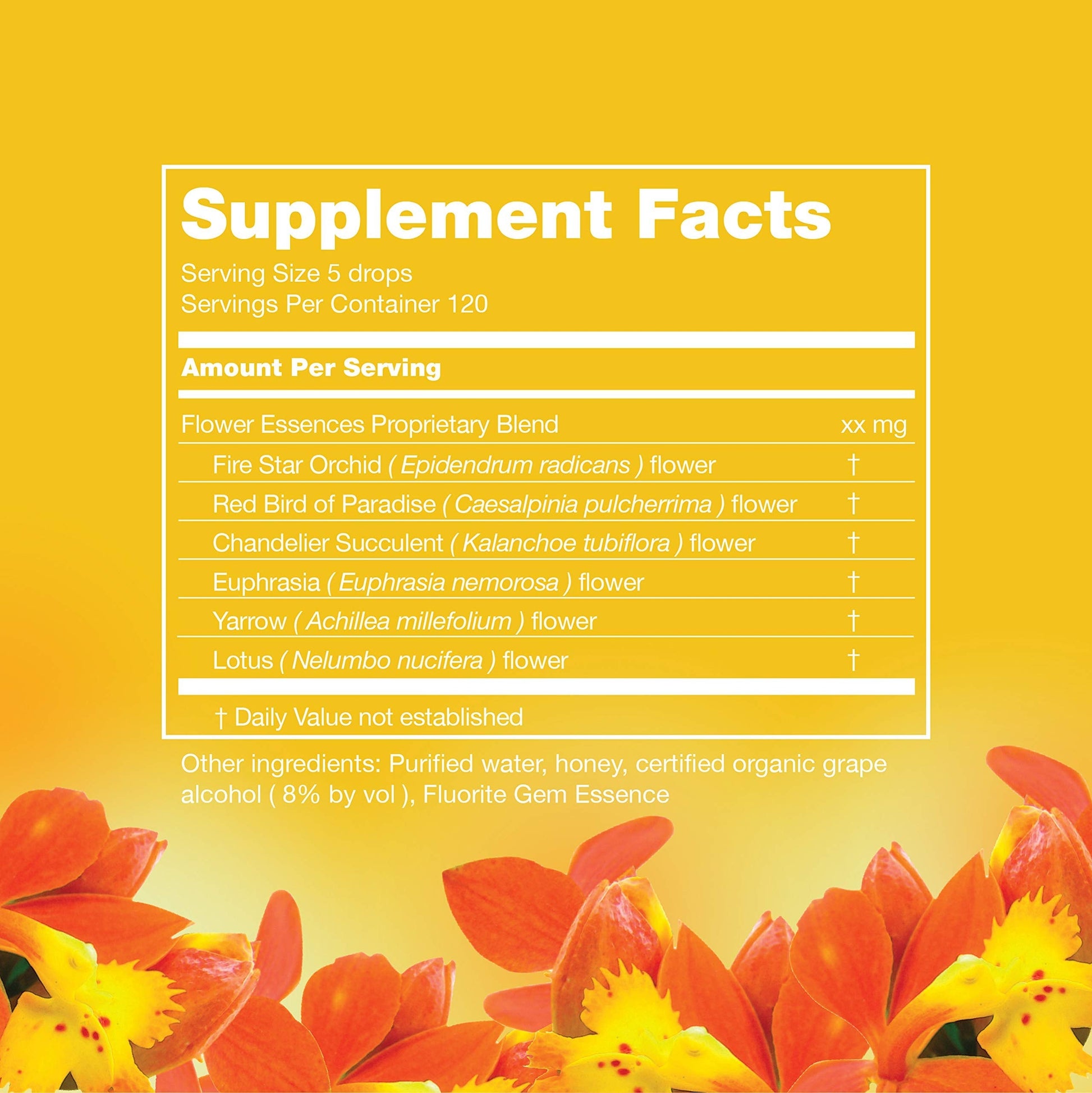 LOTUSWEI Inspired Action Flower Essence Elixir – Enhance Focus, Concentration, Mental Clarity & Creativity – Flower Remedy Supplement - AB Mystery