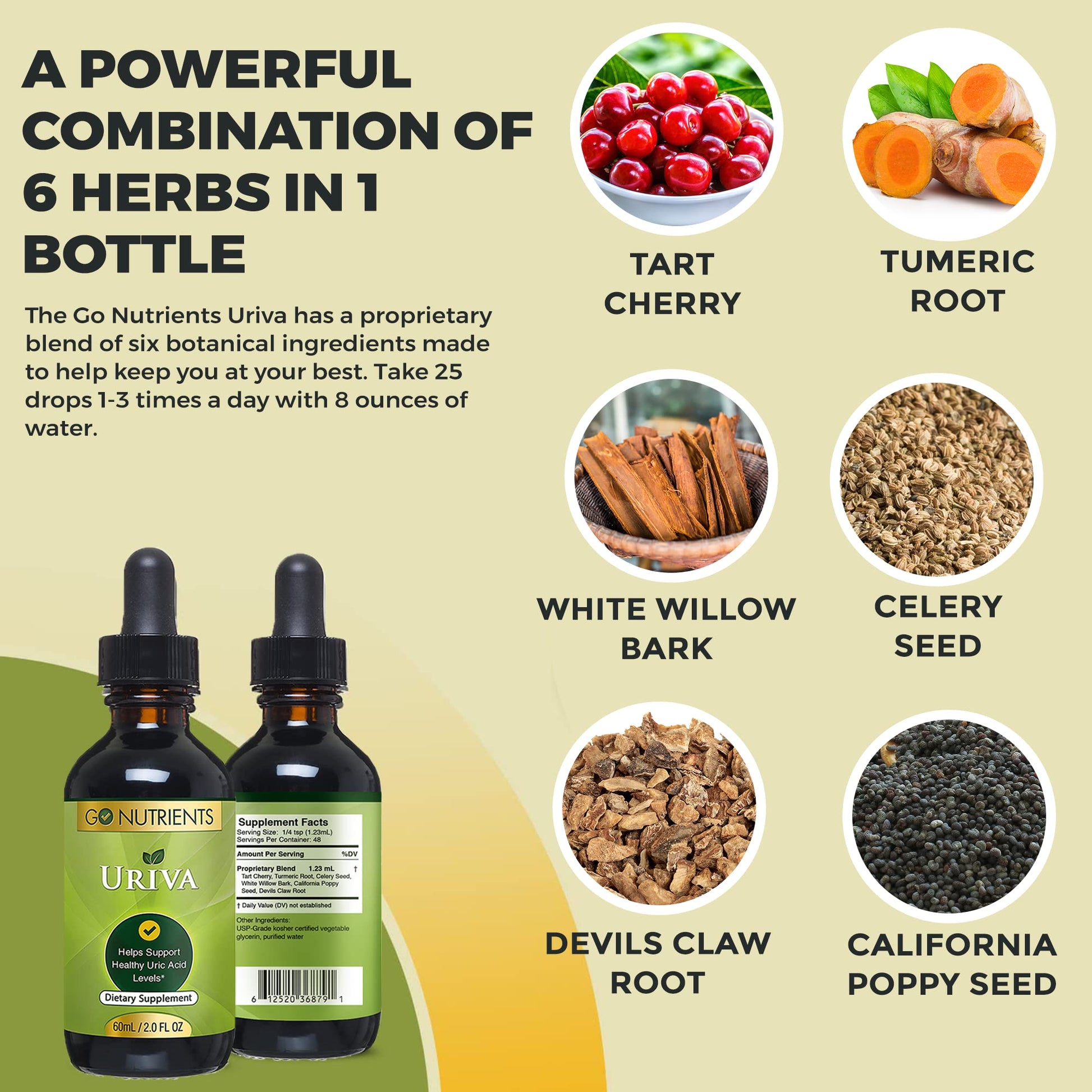 Go Nutrients Uriva Advanced Uric Acid Flush Cleanse with Tart Cherry Extract Celery Seed Extract Turmeric - AB Mystery