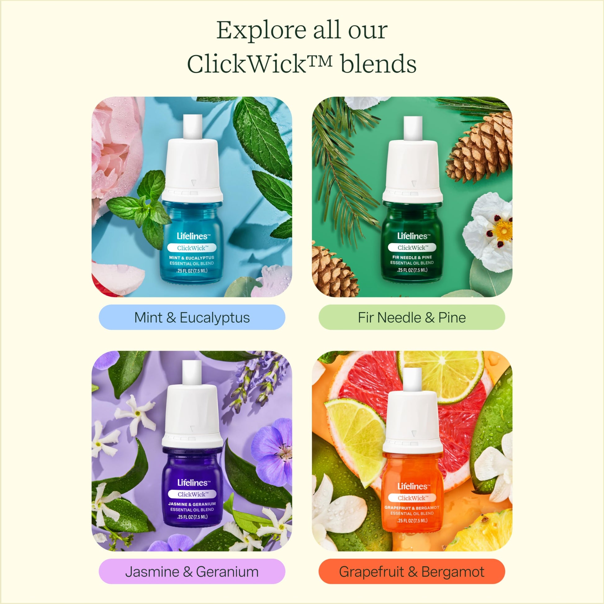 Lifelines ClickWick Essential Oil Blend 2-Pack: in Bloom and Citrus Grove, for Lifelines ClickWick Essential - AB Mystery