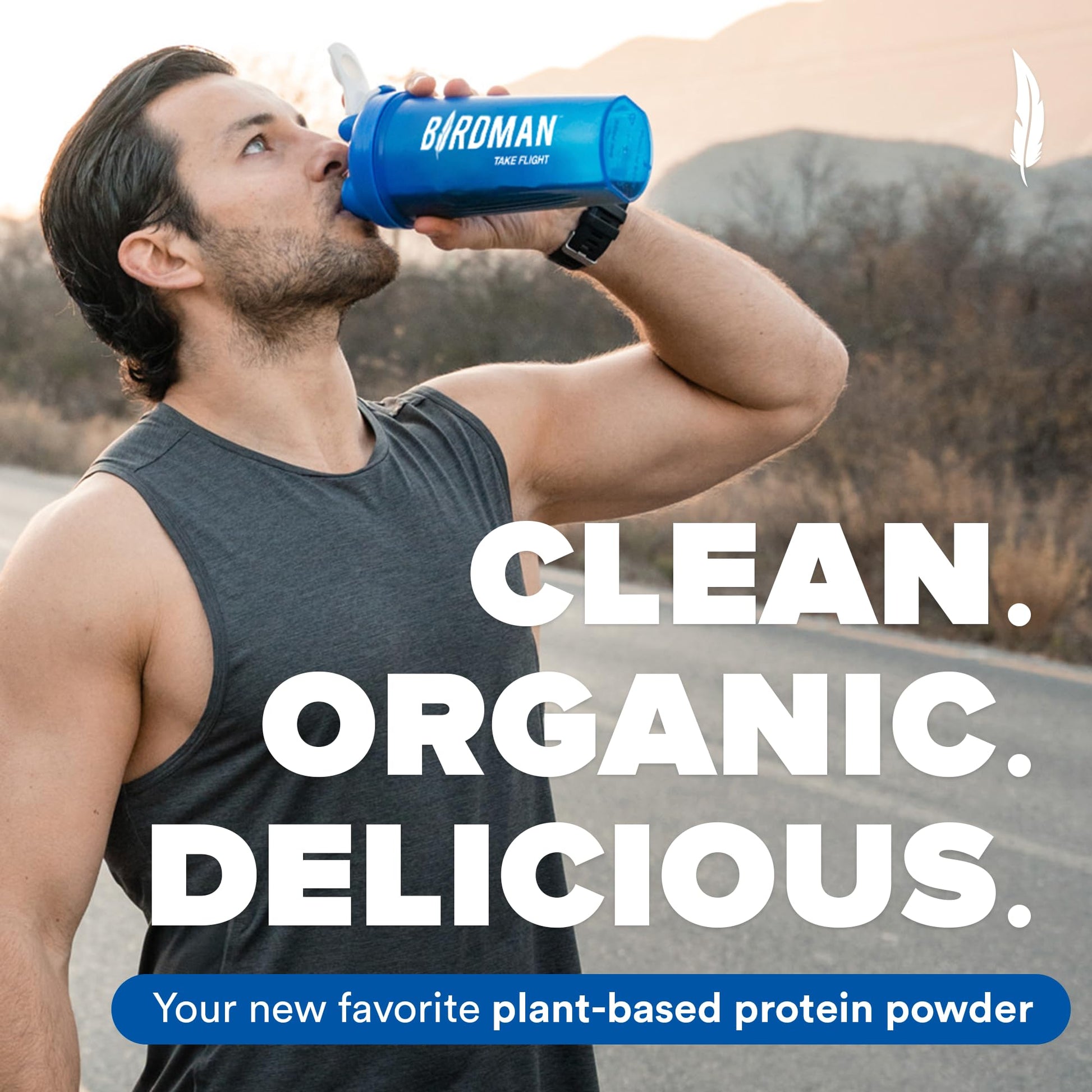 BIRDMAN Falcon Vegan Protein Powder Organic, Stevia & Sugar Free, Plant Based Protein - AB Mystery