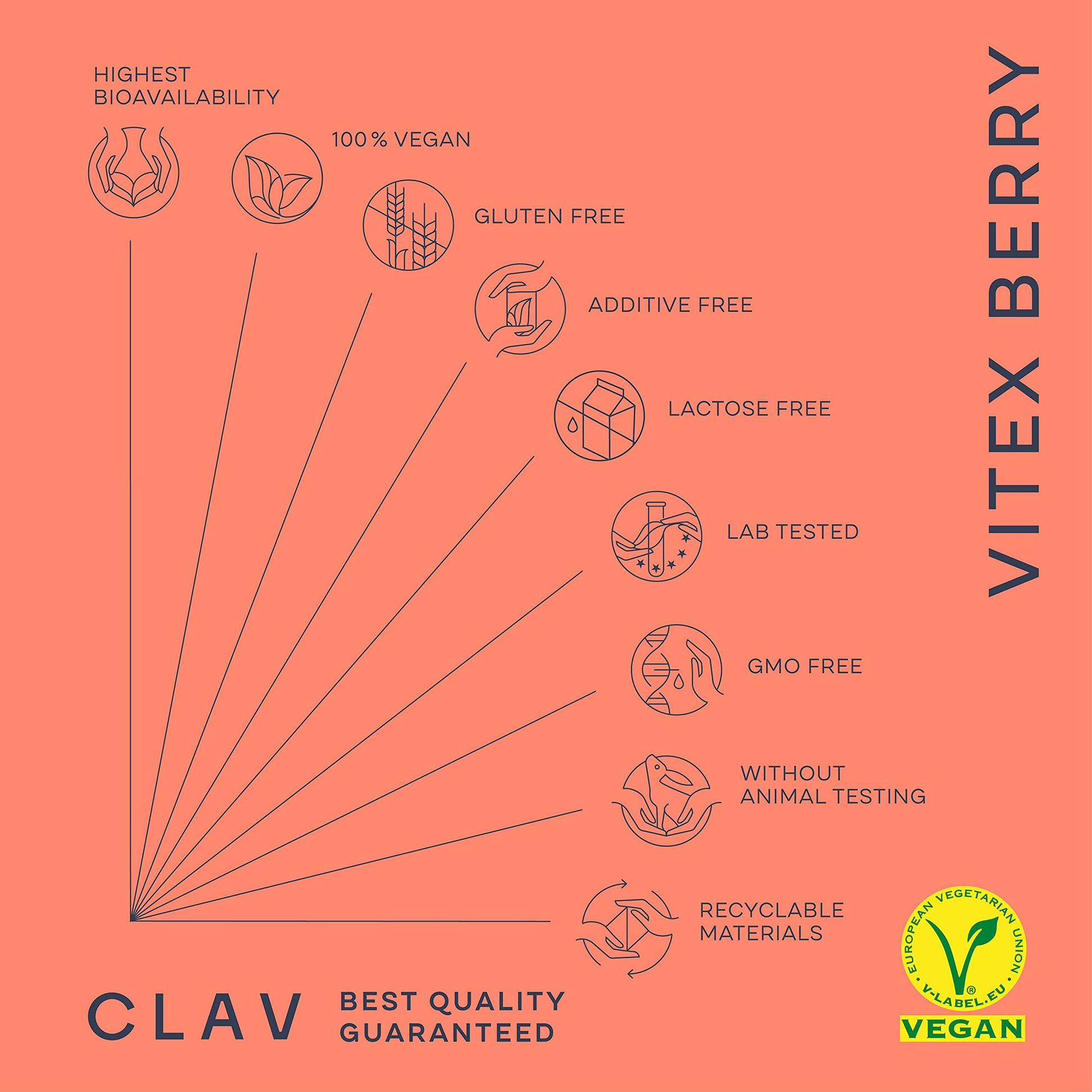 Vitex Berry - Premium Chasteberry 4:1 Extract (Vitex Agnus Castus) - Menopause & PMS Support - AB Mystery