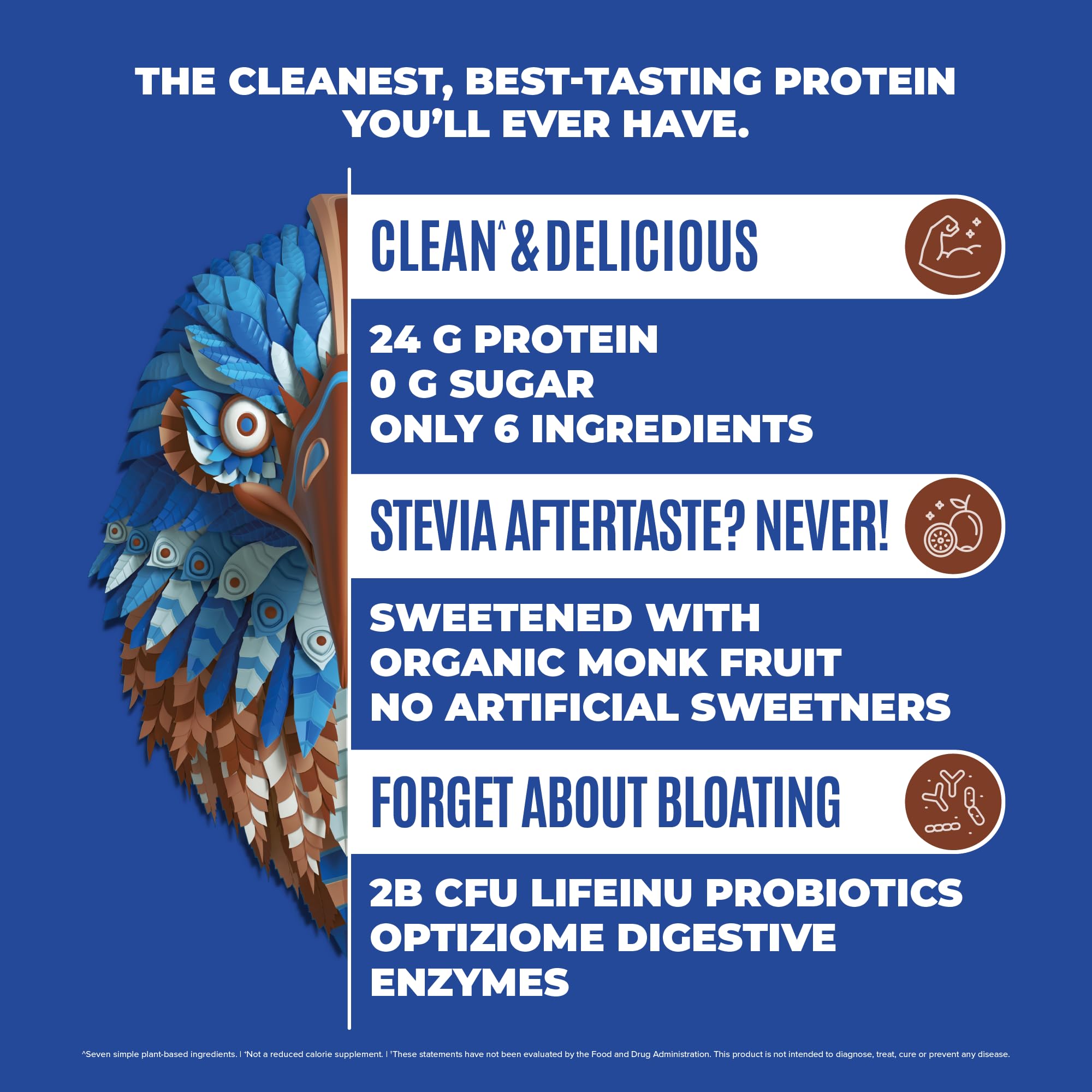 BIRDMAN Falcon Vegan Protein Powder Organic, Stevia & Sugar Free, Plant Based Protein - AB Mystery