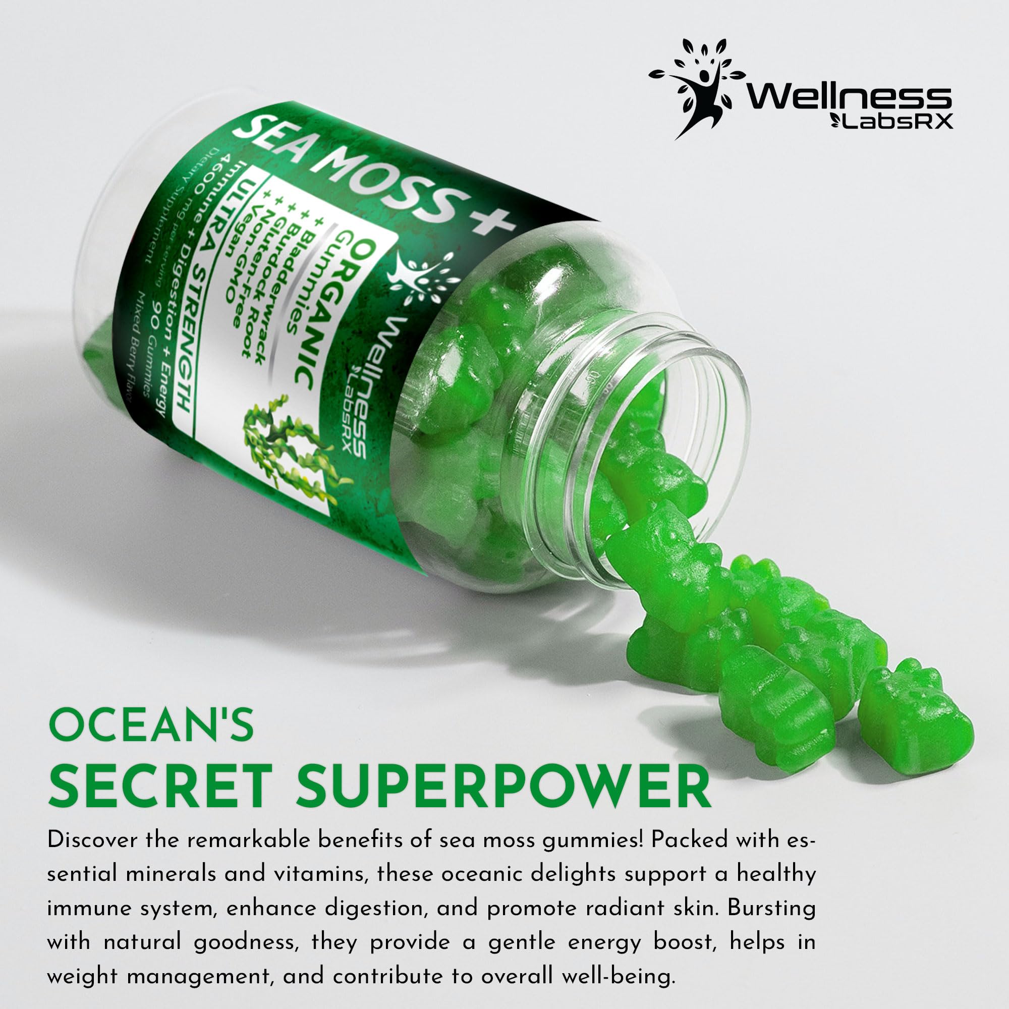 WELLNESS LABSRX Sea Moss Gummies, 3200mg Organic Seamoss, Irish Sea Moss - AB Mystery