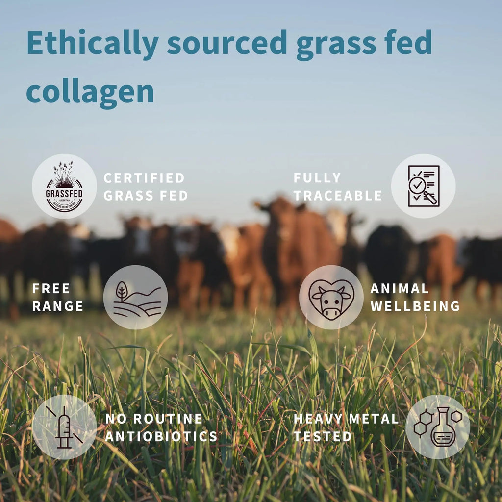 Advanced Hydrolysed Collagen Peptides, 100% Grass Fed & Ethically Sourced Igennus Healthcare Nutrition