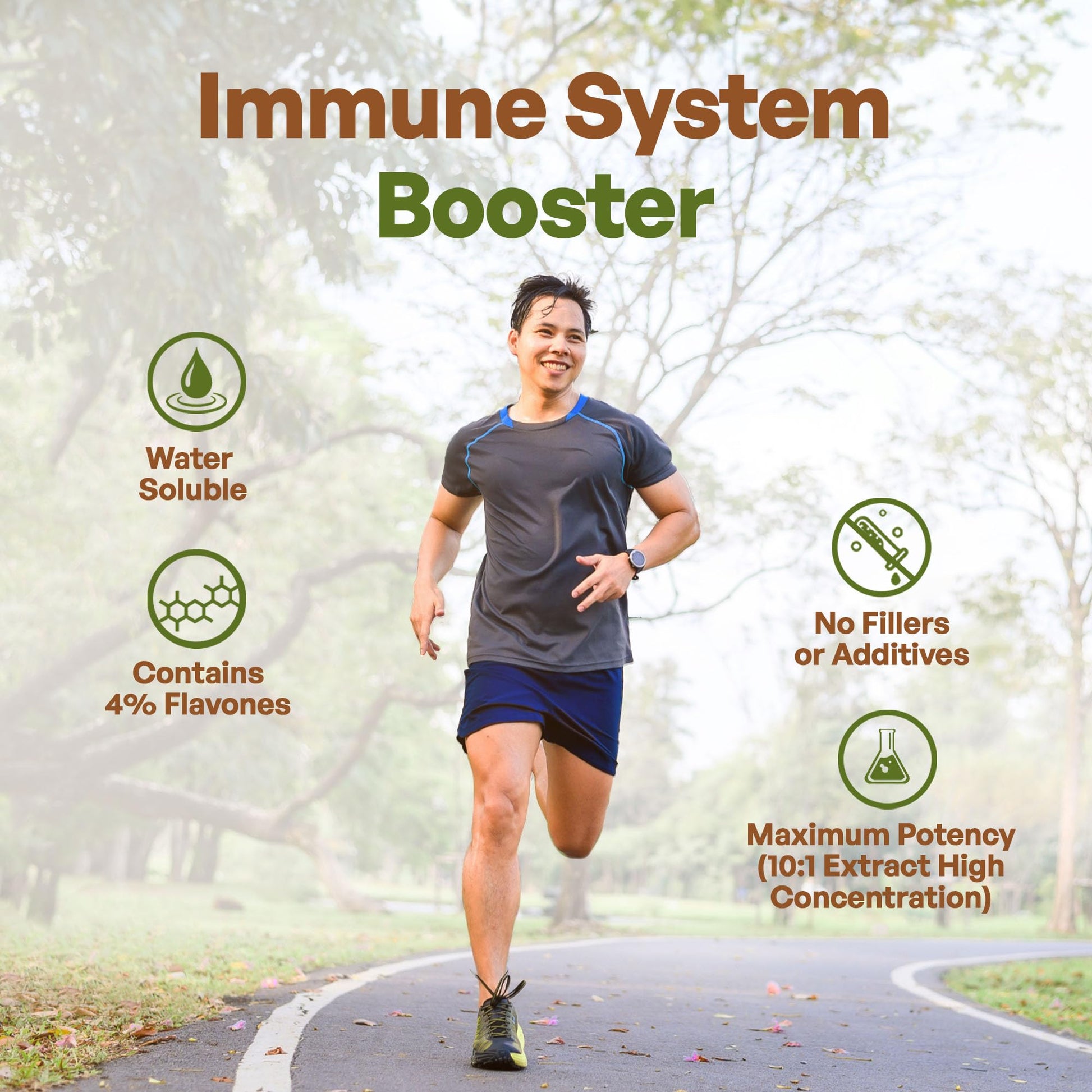 Go Nutra - Dandelion Root Powder, Potent 10:1 Dandelion Root Extract with 4% Flavonoids - AB Mystery