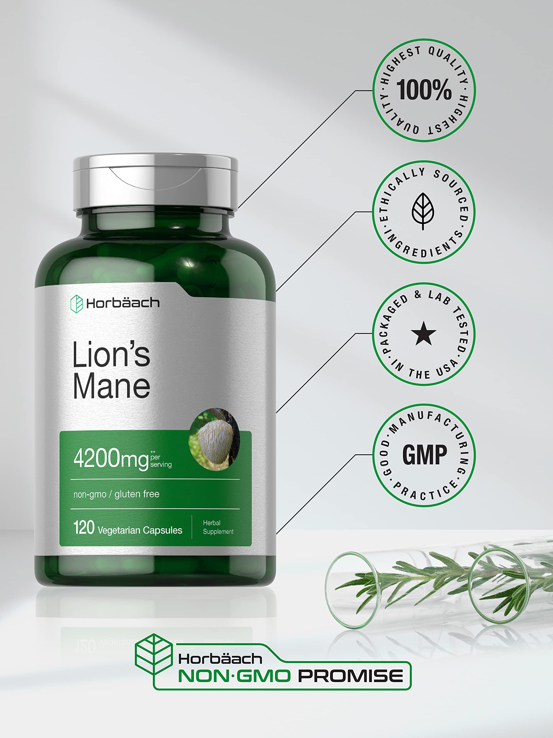 Horbäach Lions Mane Mushroom Extract | 4200mg | 120 Capsules | Vegetarian - AB Mystery