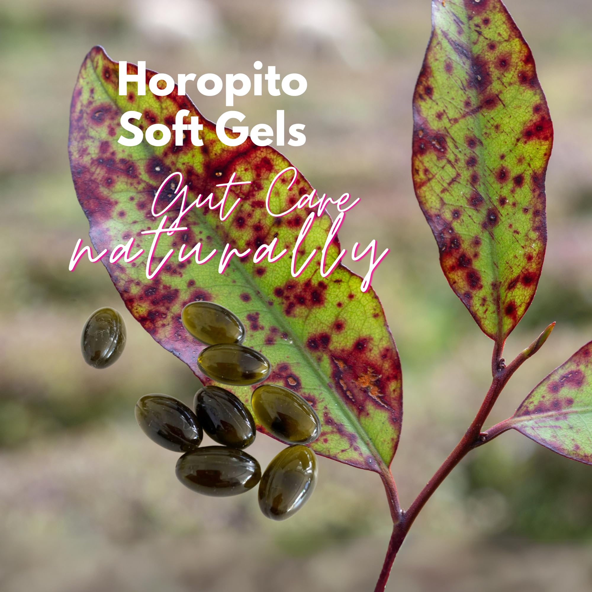 Kolorex Gut Care Candida Balance (Advanced Candida Care) 60ct - AB Mystery