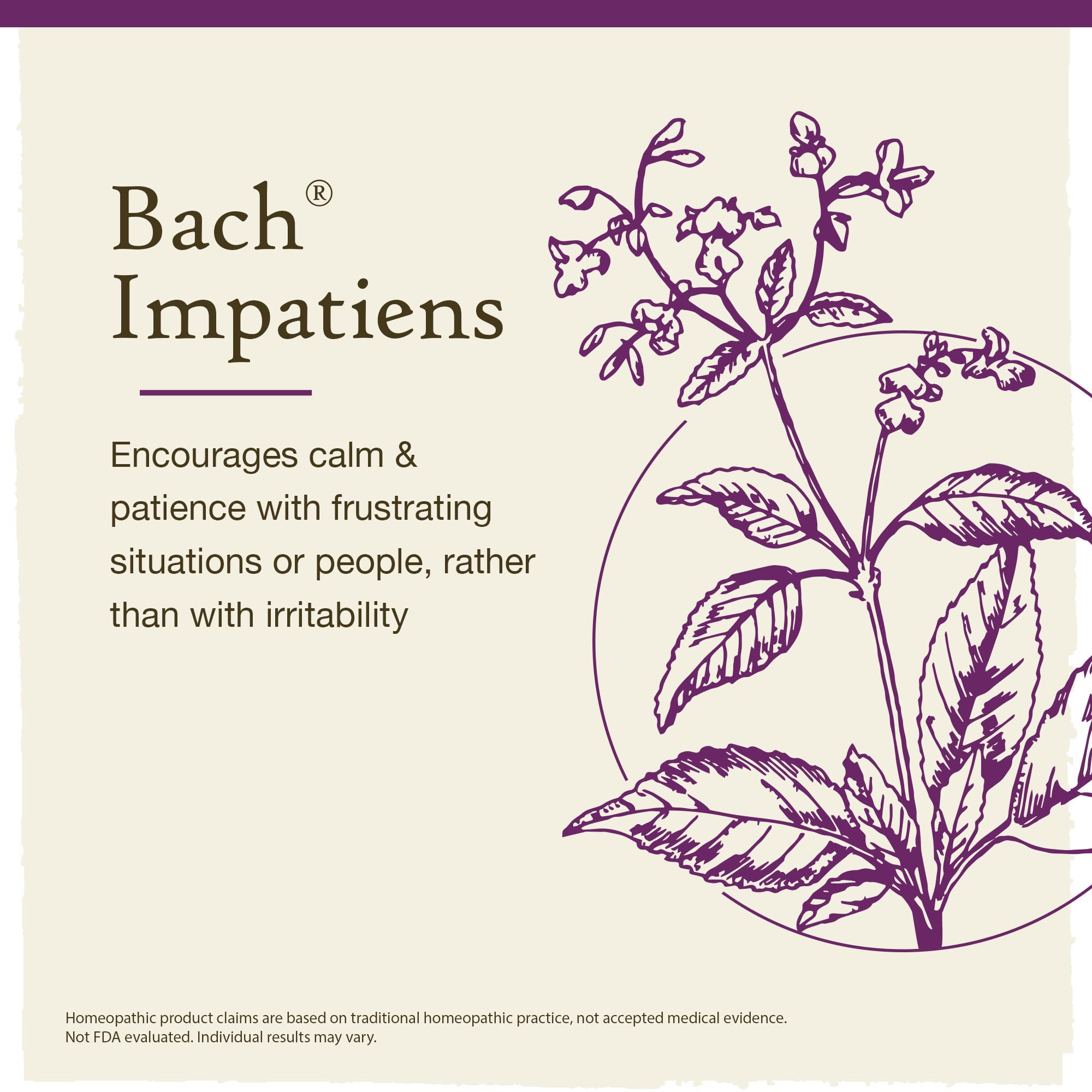 Bach Original Flower Remedies, Impatiens for Patience (Non-Alcohol Formula), Natural Homeopathic - AB Mystery