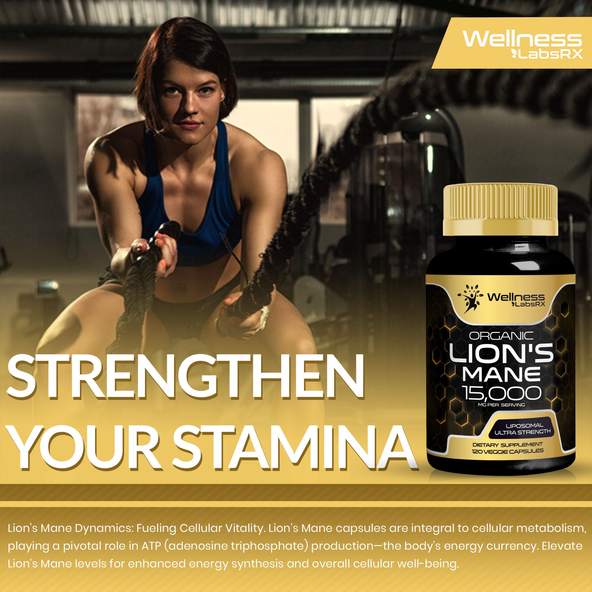 Lions Mane Supplement Capsules - 120 Count - Mushroom Supplement, Brain Supplements - AB Mystery