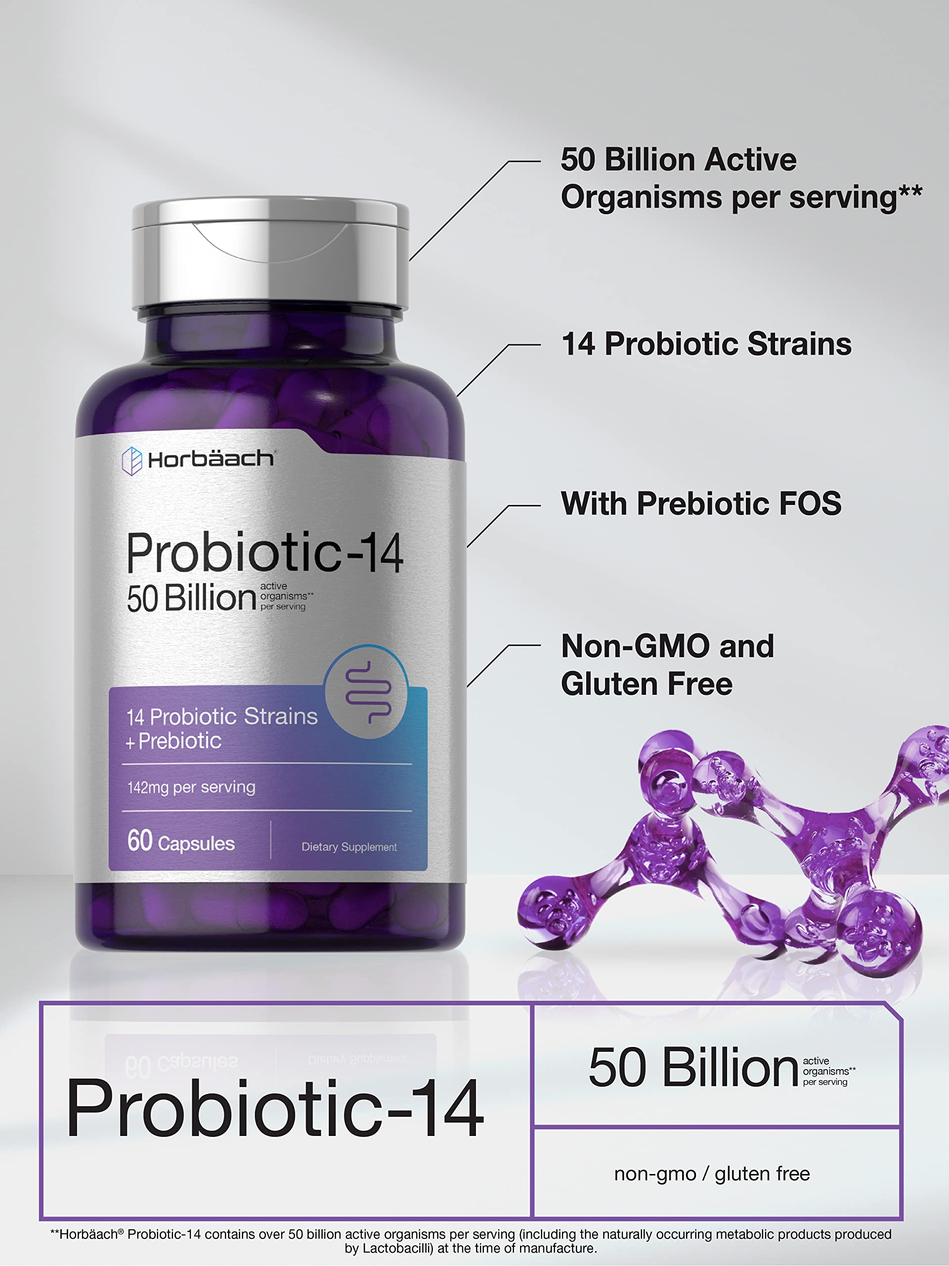 Horbäach Probiotics with Prebiotics | 60 Capsules | 50 Billion Active Organisms | Non-GMO - AB Mystery