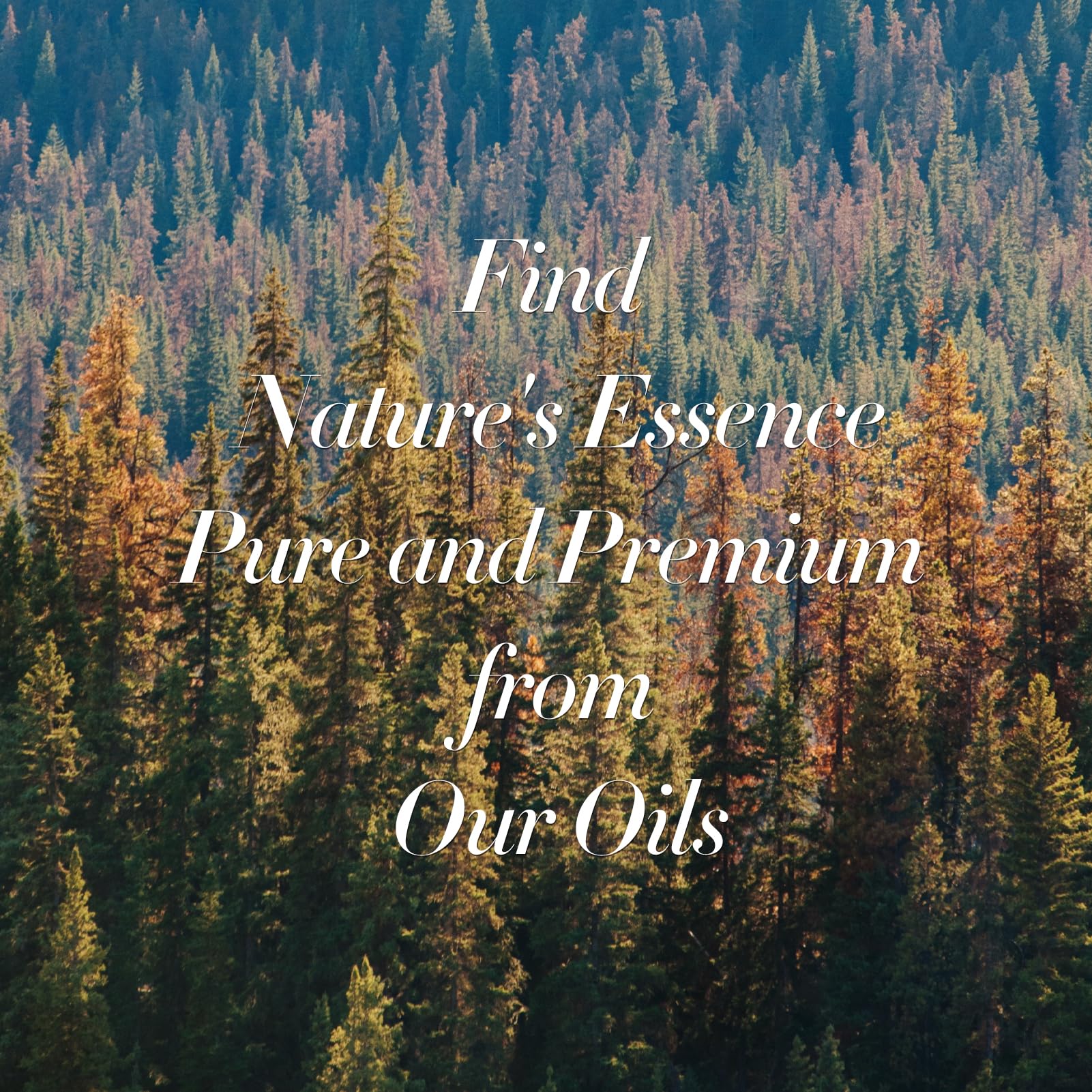 JCLOUD My Way Essential Oil for Diffuser - Hotel Collection Diffuser Oil & Home Luxury Scents – Pure - AB Mystery