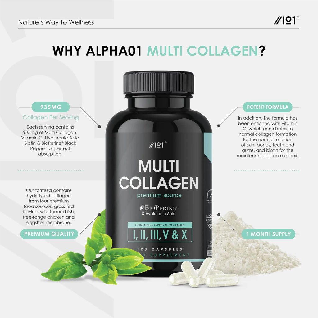 Multi Collagen Capsules - 120 Capsules - Types I, II, III, V & X - Wild Caught Fish, Grass Fed Bovine, Eggshell Revive Naturals