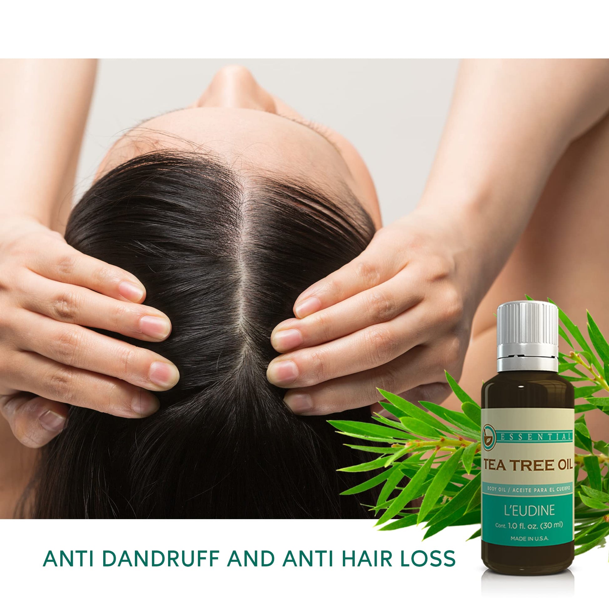 L’EUDINE Tea Tree Oil – 1fl Oz Multipurpose Body Oil for Acne, Toenail Problems, Dandruff, Skin Bites - AB Mystery