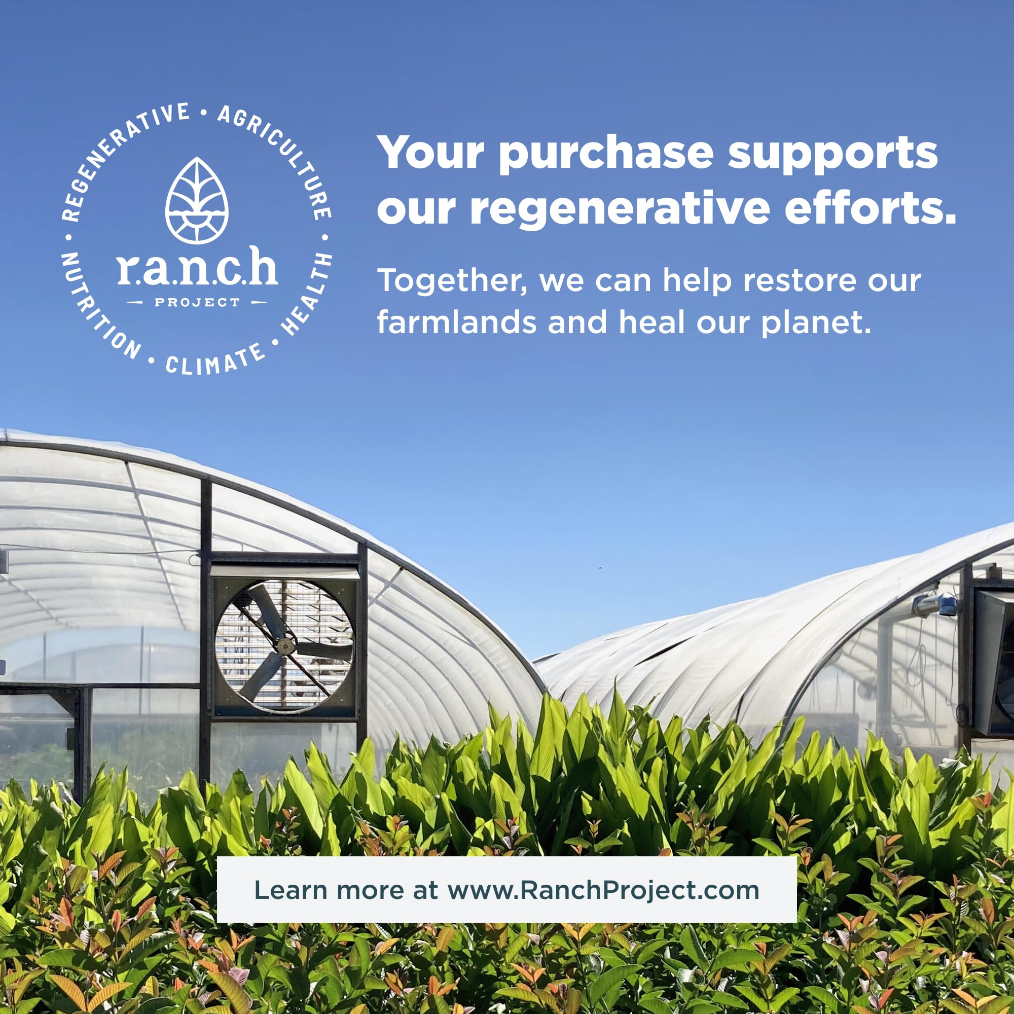 Ancient Nutrition Collagen Powder Protein, Multi Collagen Protein Powder, Strawberry Lemo - AB Mystery