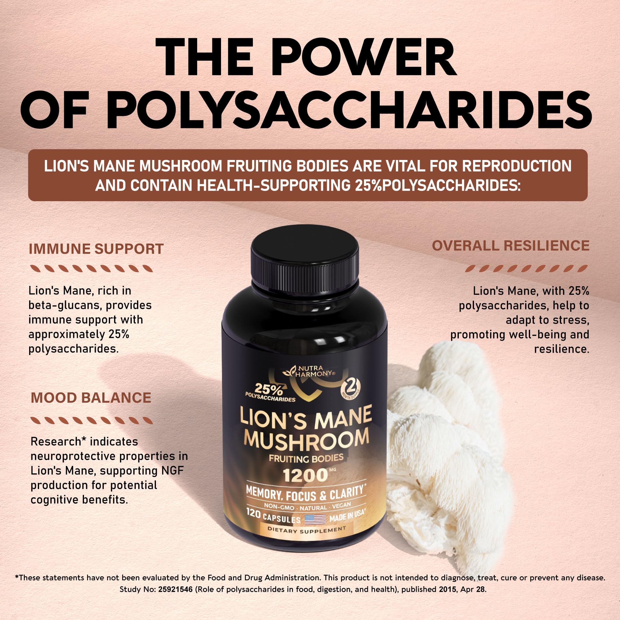 Organic Lions Mane - Certified Mushroom Supplement - Made in USA - Fruiting Bodies - AB Mystery