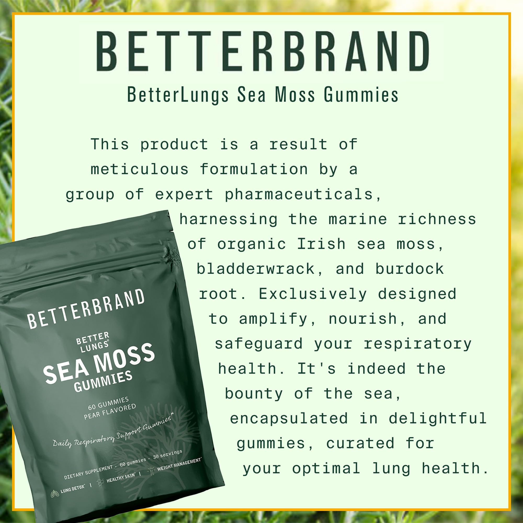 Betterbrand BetterLungs Pear Flavored Sea Moss Gummies - 1600mg Bladderwrack - AB Mystery