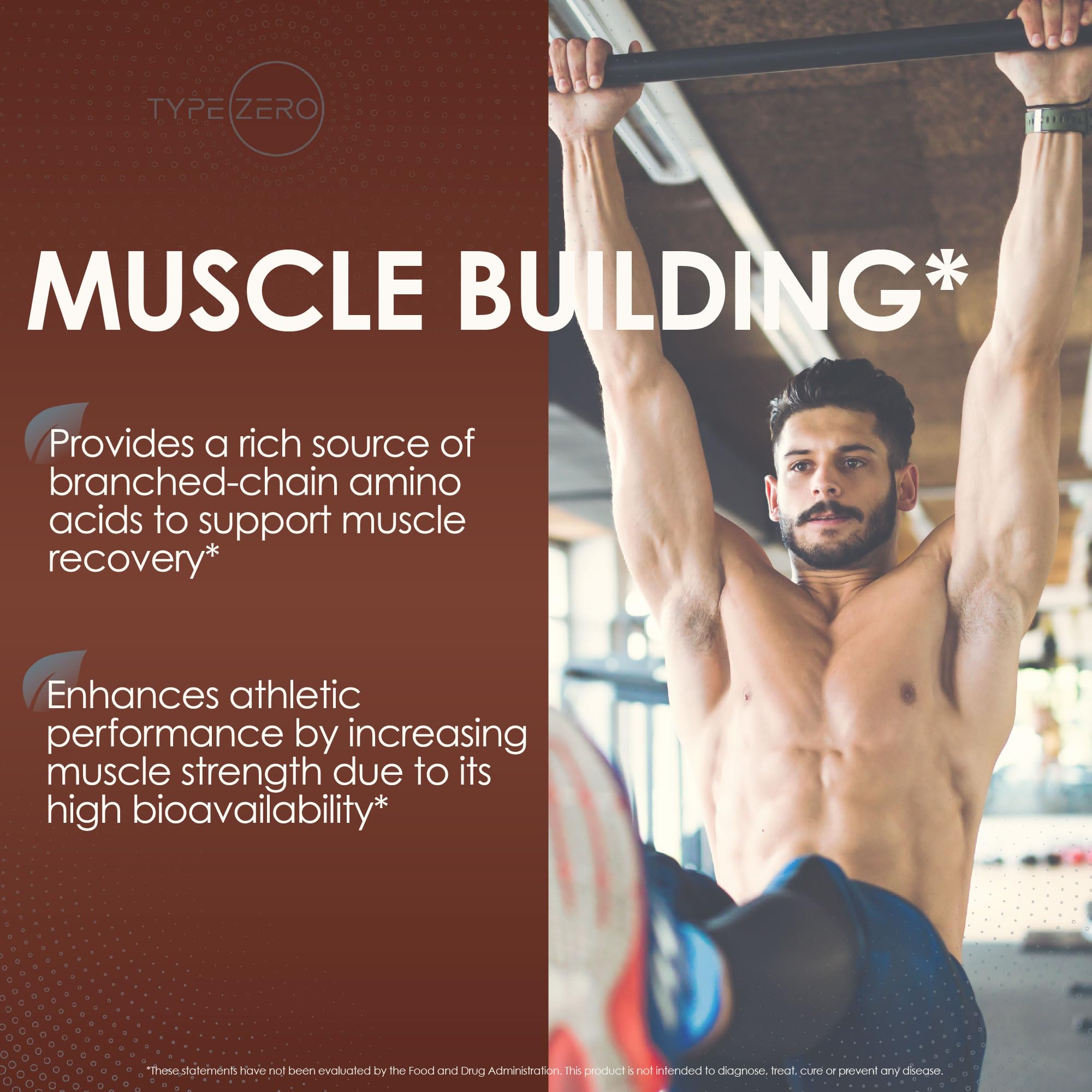 Type Zero Grass Fed Whey Protein Concentrate Powder (Chocolate, 2LBS) - Gluten Free - AB Mystery