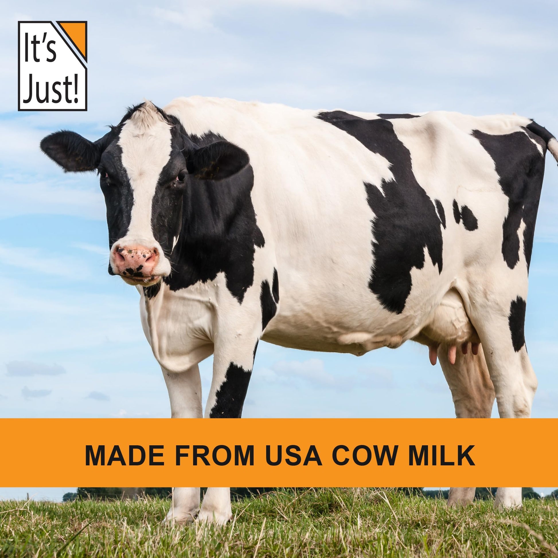 It's Just! - 100% Whey Protein Concentrate, Made in USA, Premium WPC-80, No Added - AB Mystery