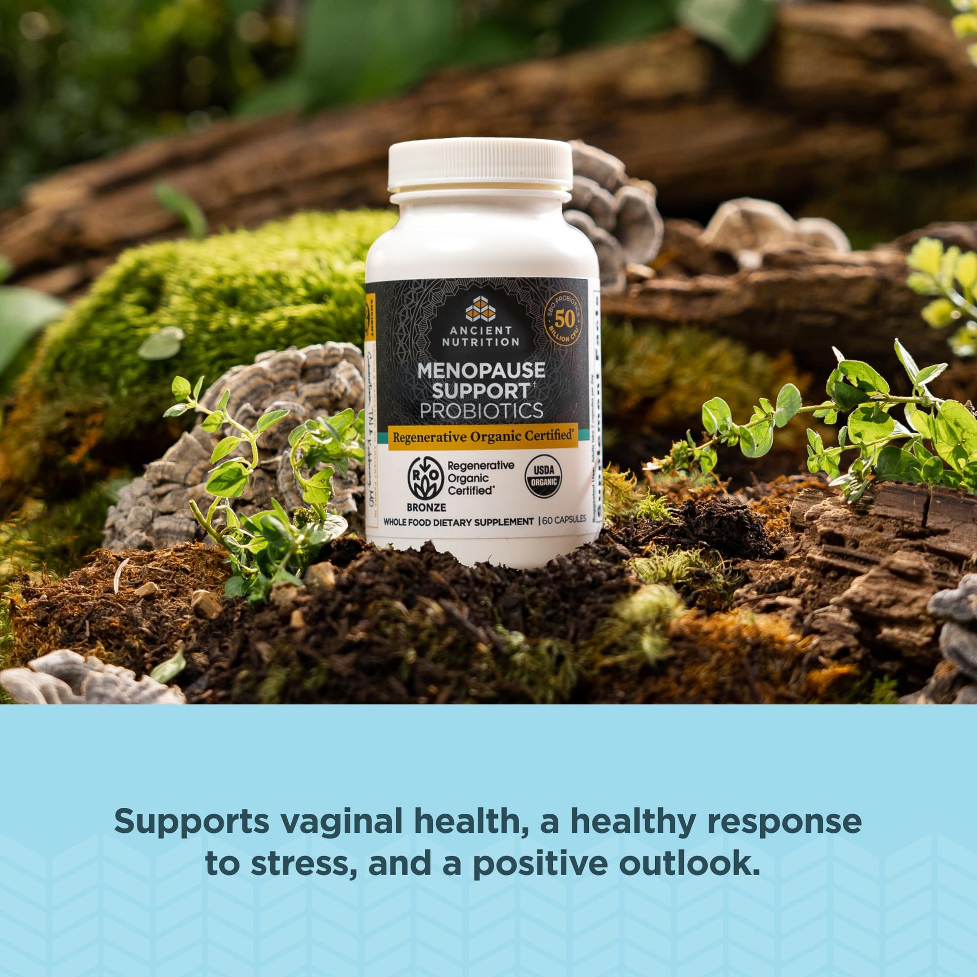 Ancient Nutrition Regenerative Organic Certified Probiotics for Menopause Support - AB Mystery