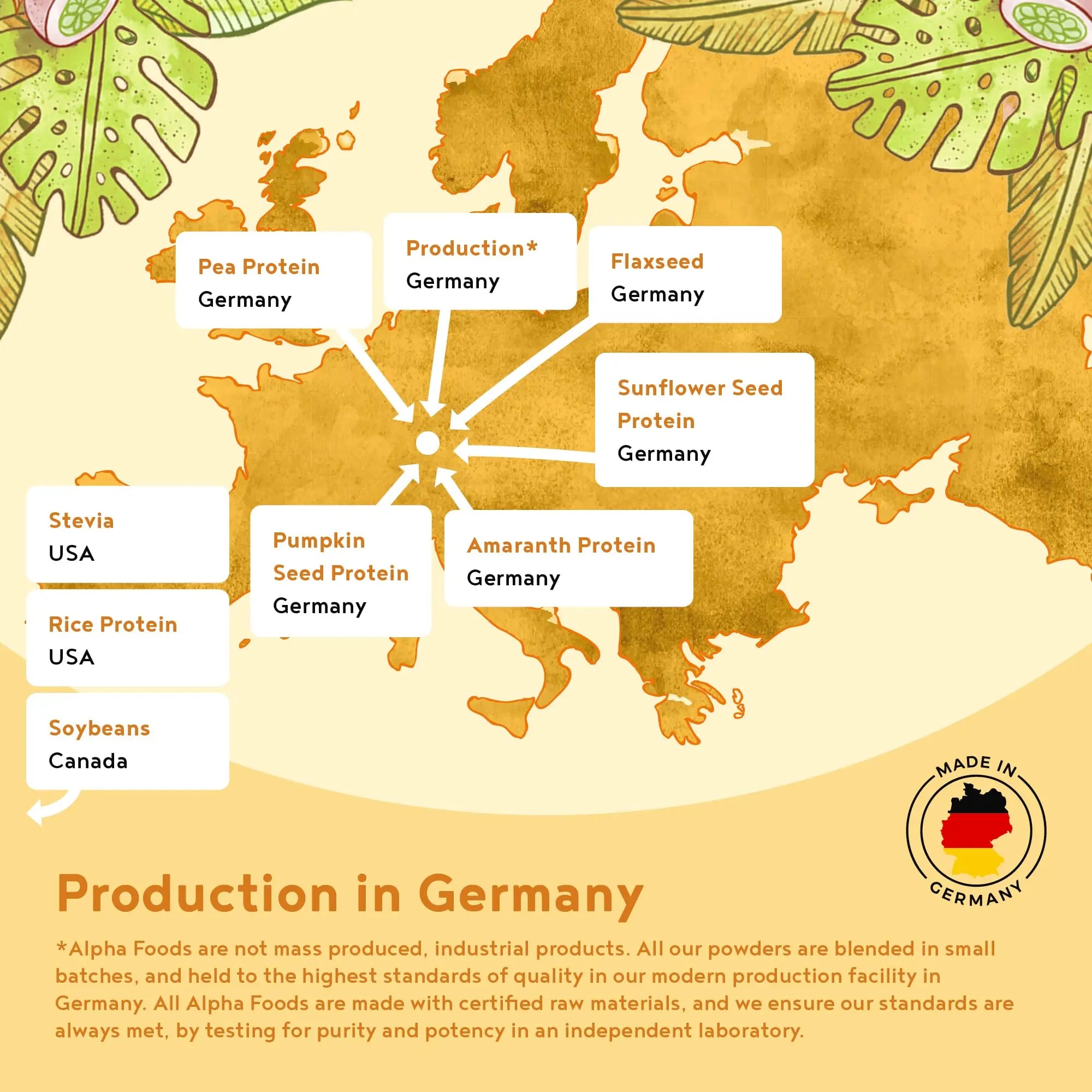 Vegan Protein Powder - Muscle Building Powder with Amino Acids - Plant Based Protein Shake Alpha Foods
