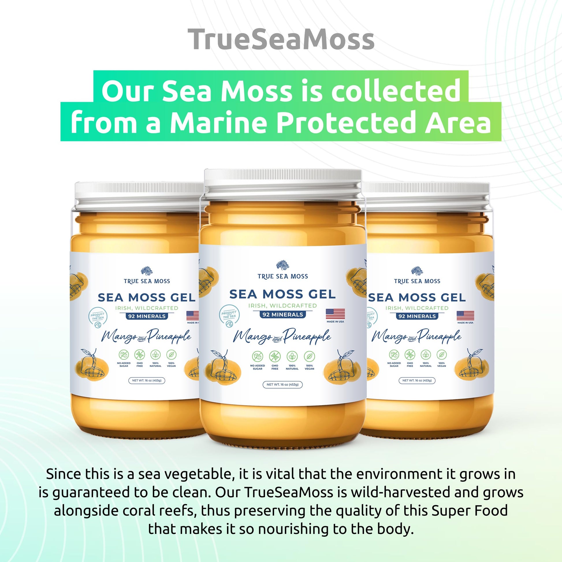 TrueSeaMoss Wildcrafted Irish Sea Moss Gel –7 Flavors- Nutritious Organic Raw - AB Mystery