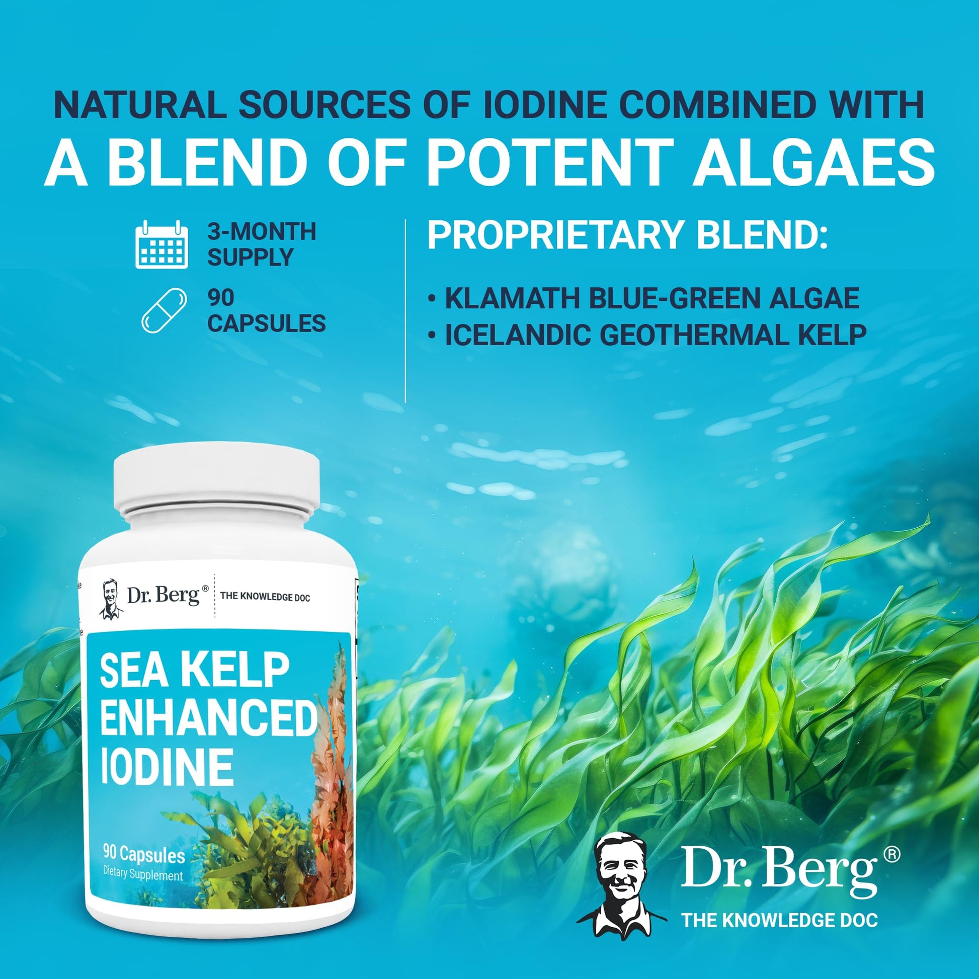 Dr. Berg's Sea Kelp Enhanced - Pure Healthy Thyroid Support Natural Antioxidants - AB Mystery