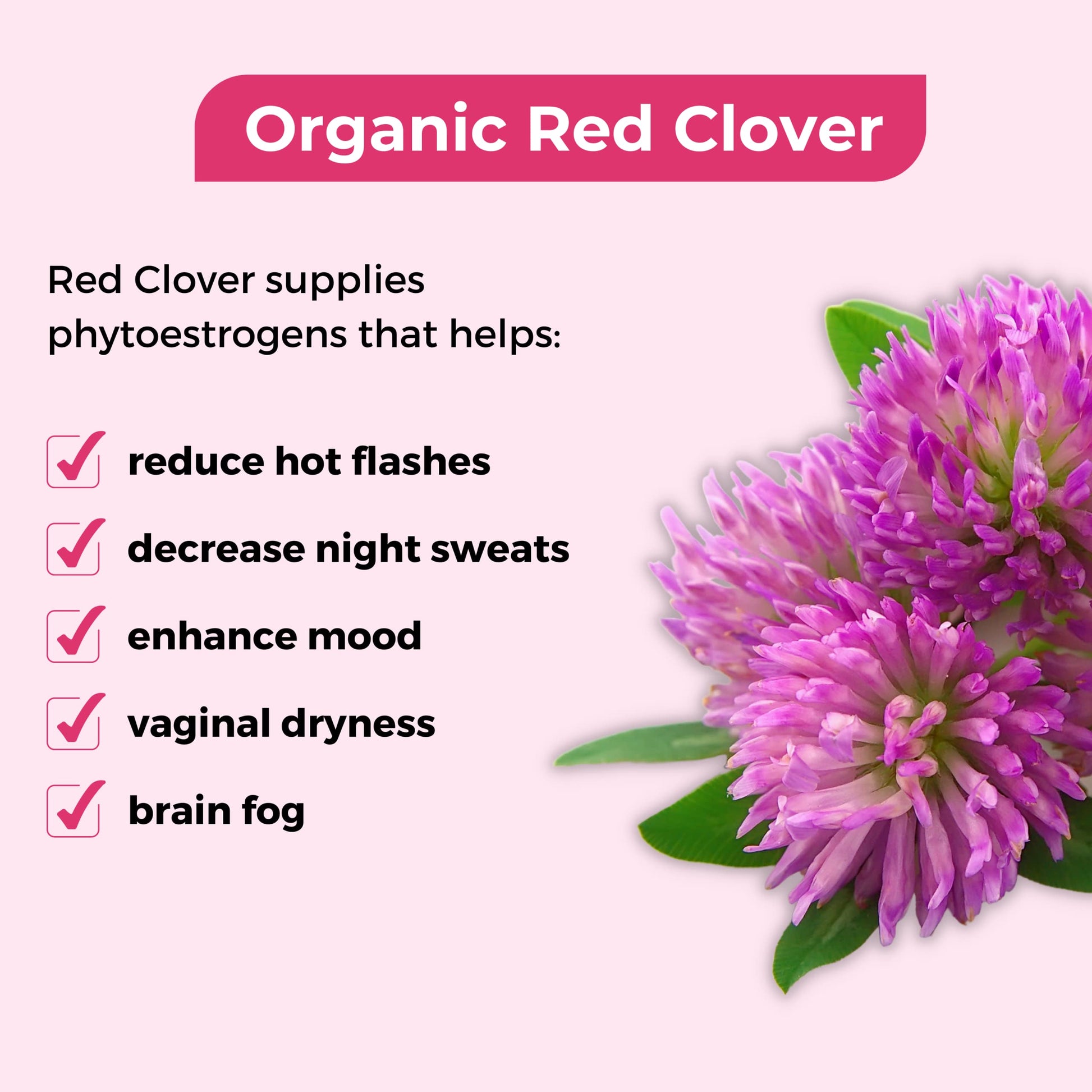 VoomVaya Menopause Support Tea - Natural Menopause Relief For Women - AB Mystery