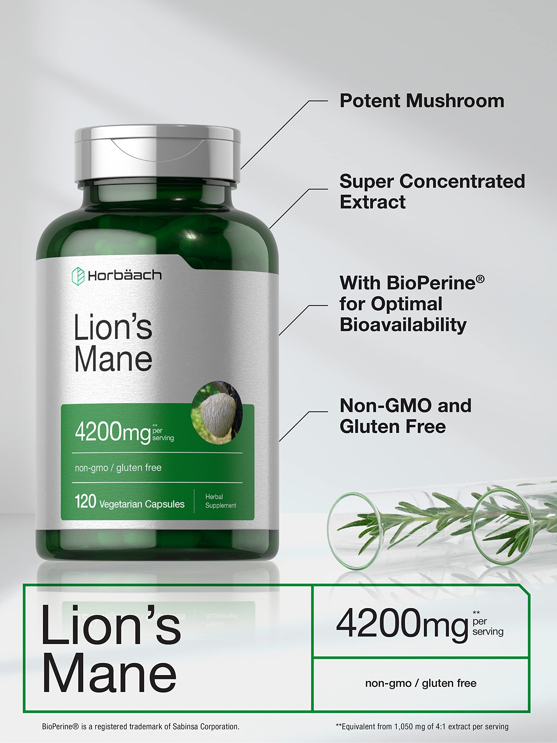 Horbäach Lions Mane Mushroom Extract | 4200mg | 120 Capsules | Vegetarian - AB Mystery
