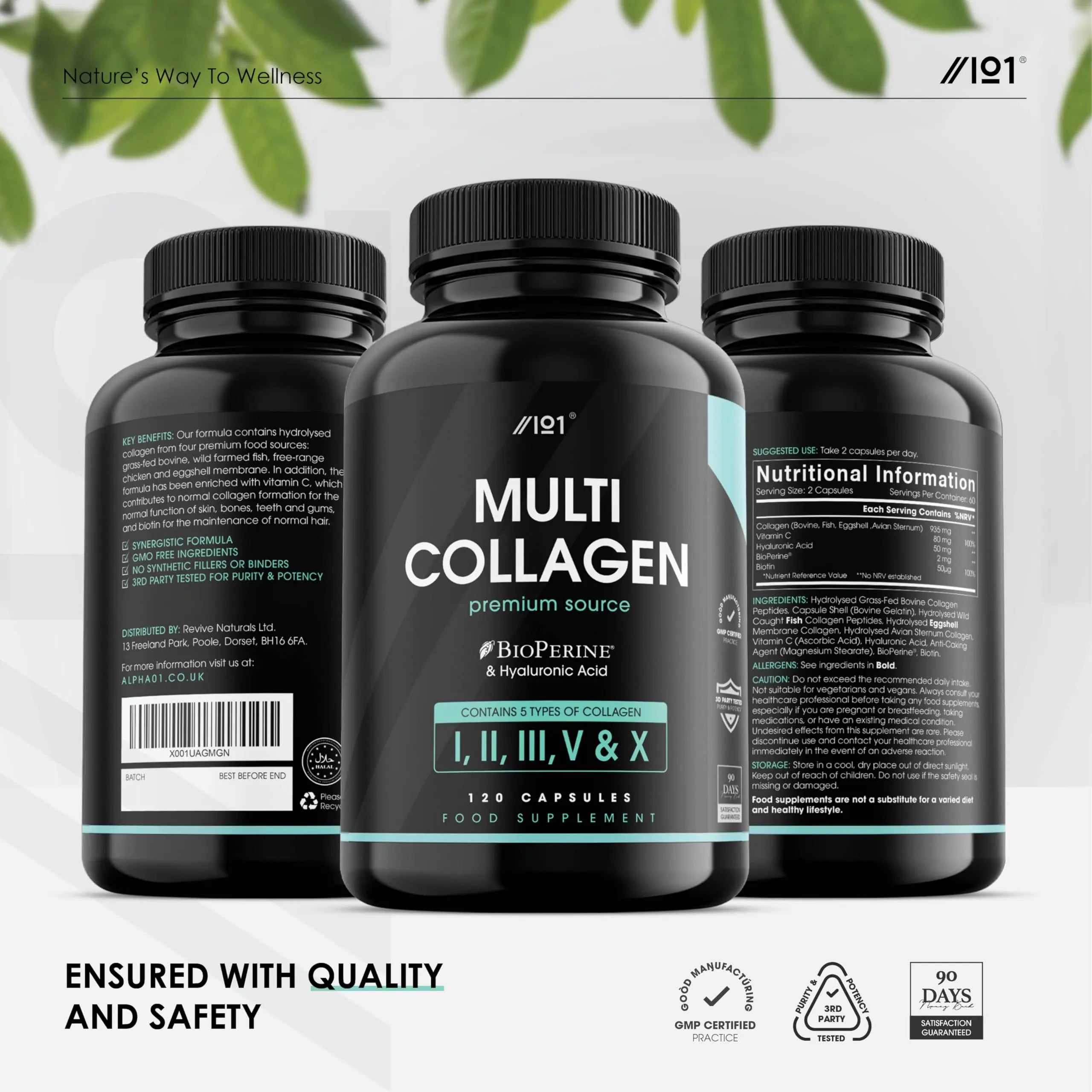 Multi Collagen Capsules - 120 Capsules - Types I, II, III, V & X - Wild Caught Fish, Grass Fed Bovine, Eggshell Revive Naturals