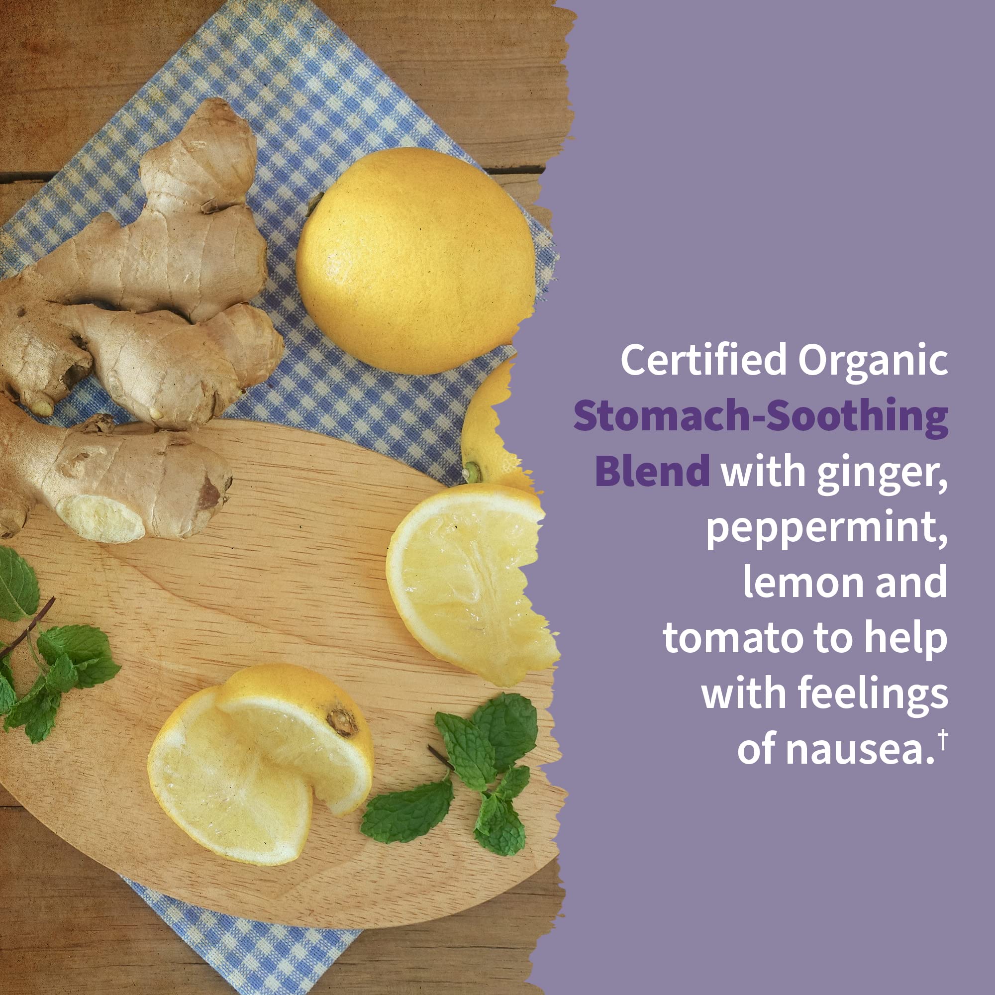 Garden of Life Organics Women’s Prenatal Multivitamin with Vitamin D3, B6, B12, C & Iron, Folate for Energy & Healthy Fetal Development – Organic Garden of Life