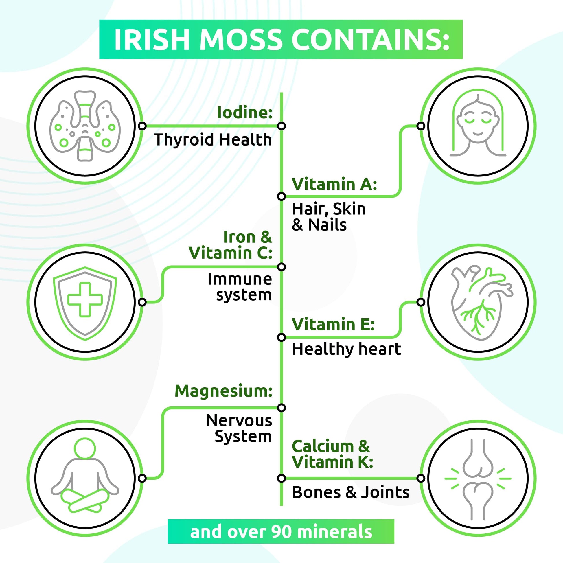 TrueSeaMoss Wildcrafted Irish Sea Moss Gel –7 Flavors- Nutritious Organic Raw - AB Mystery