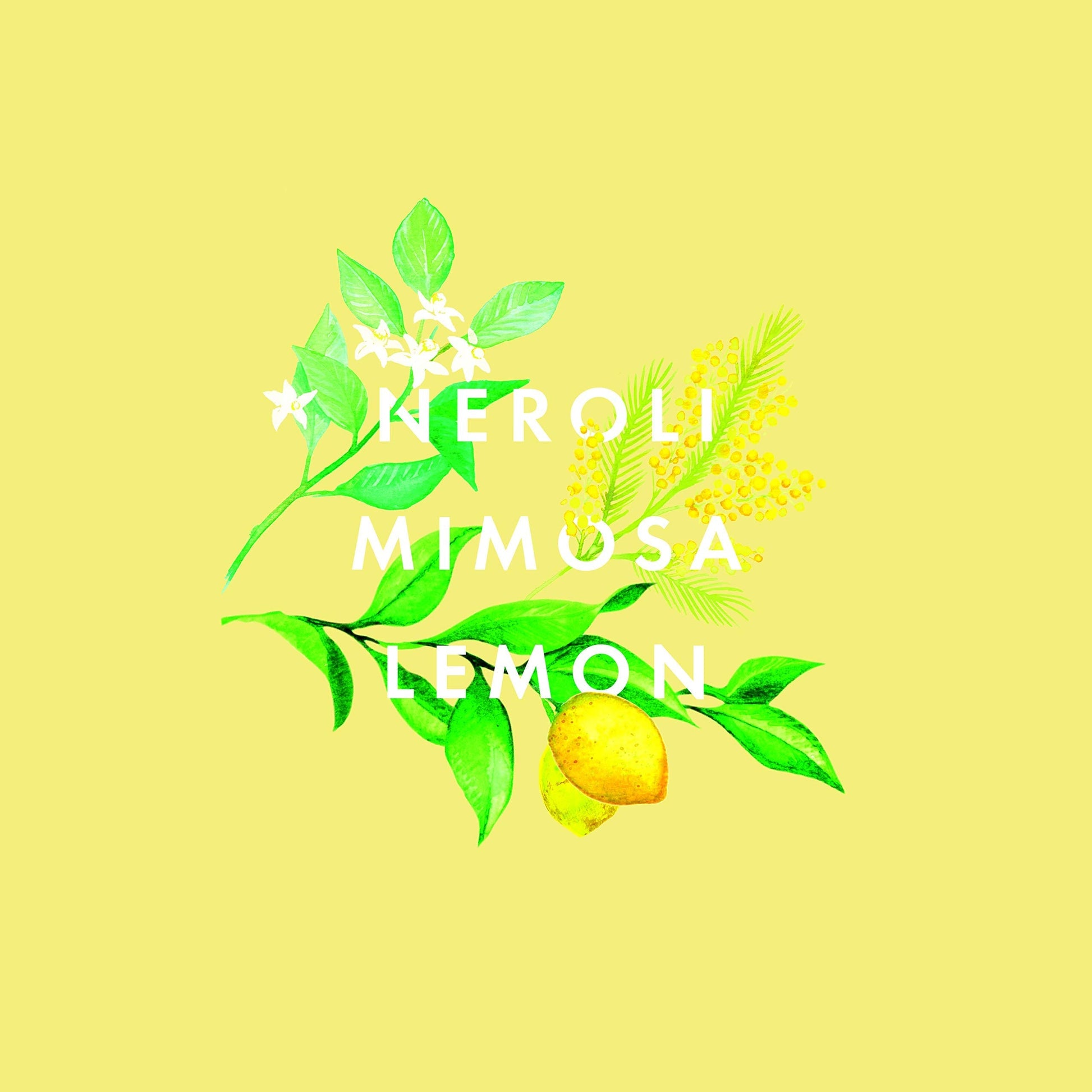 NEOM - Happiness Essential Oil Blend, 10ml | Neroli, Mimosa & Lemon | Scent to Make You Happy Range - AB Mystery