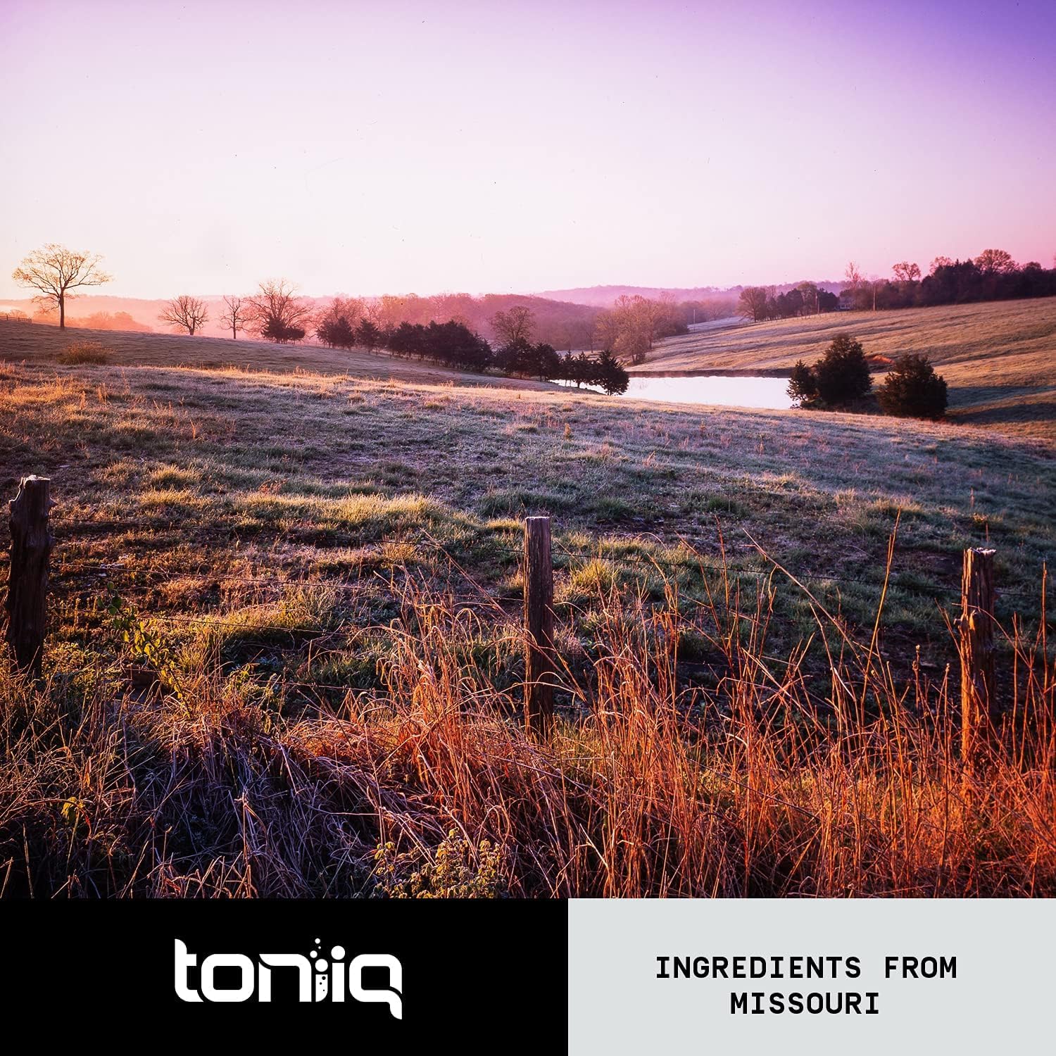 28,000mg 20x Concentrated Extract Beet Root Capsules - Natural Nitric Oxide Booster - AB Mystery