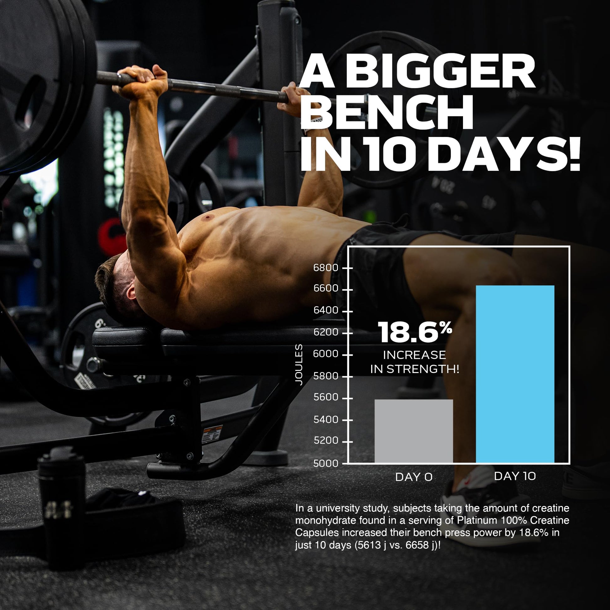 MuscleTech Platinum 100% Creatine Pills | Creatine Monohydrate Pill| | Muscle Recovery - AB Mystery