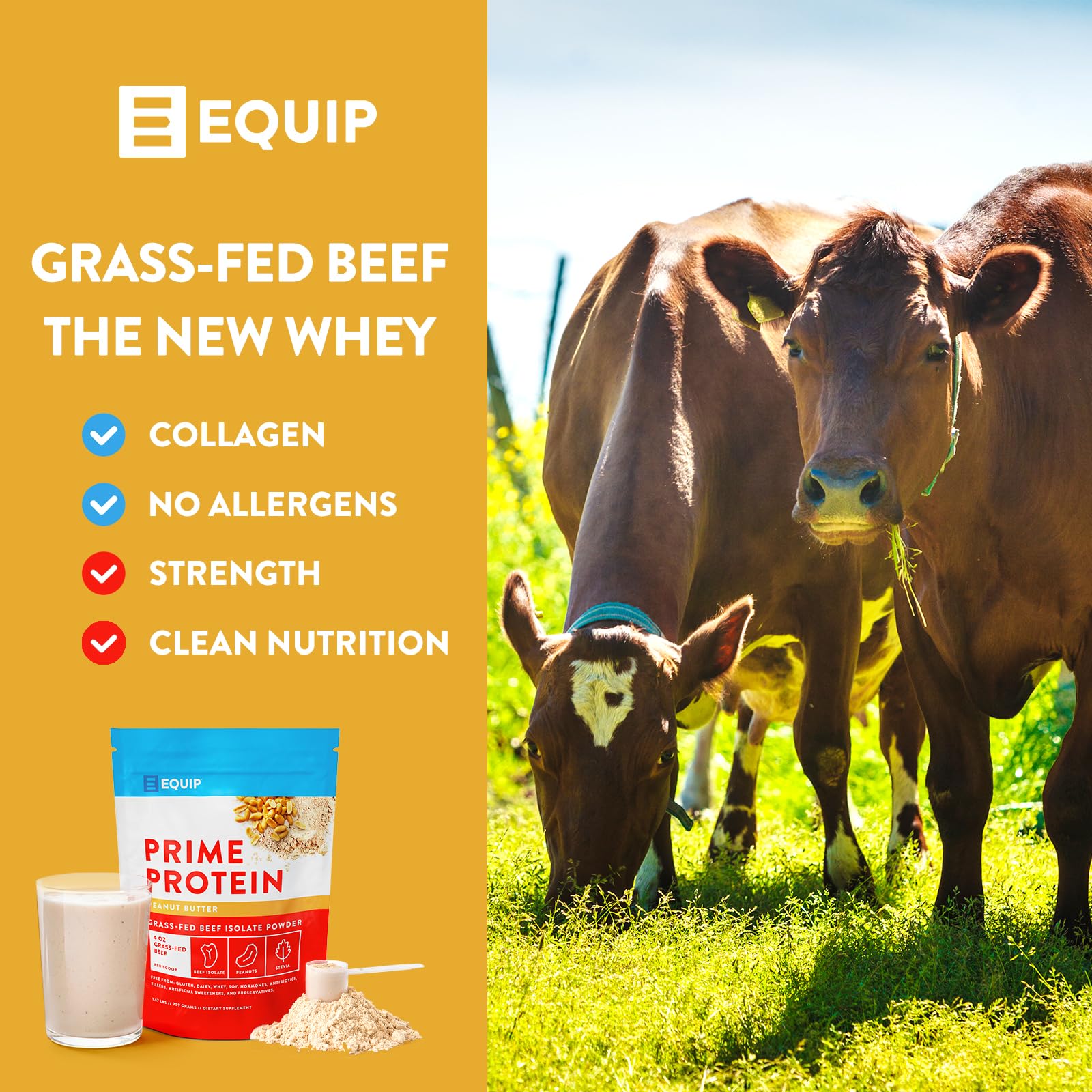 Equip Foods Prime Protein - Grass Fed Beef Protein Powder Isolate - Paleo and Keto Friendly - AB Mystery