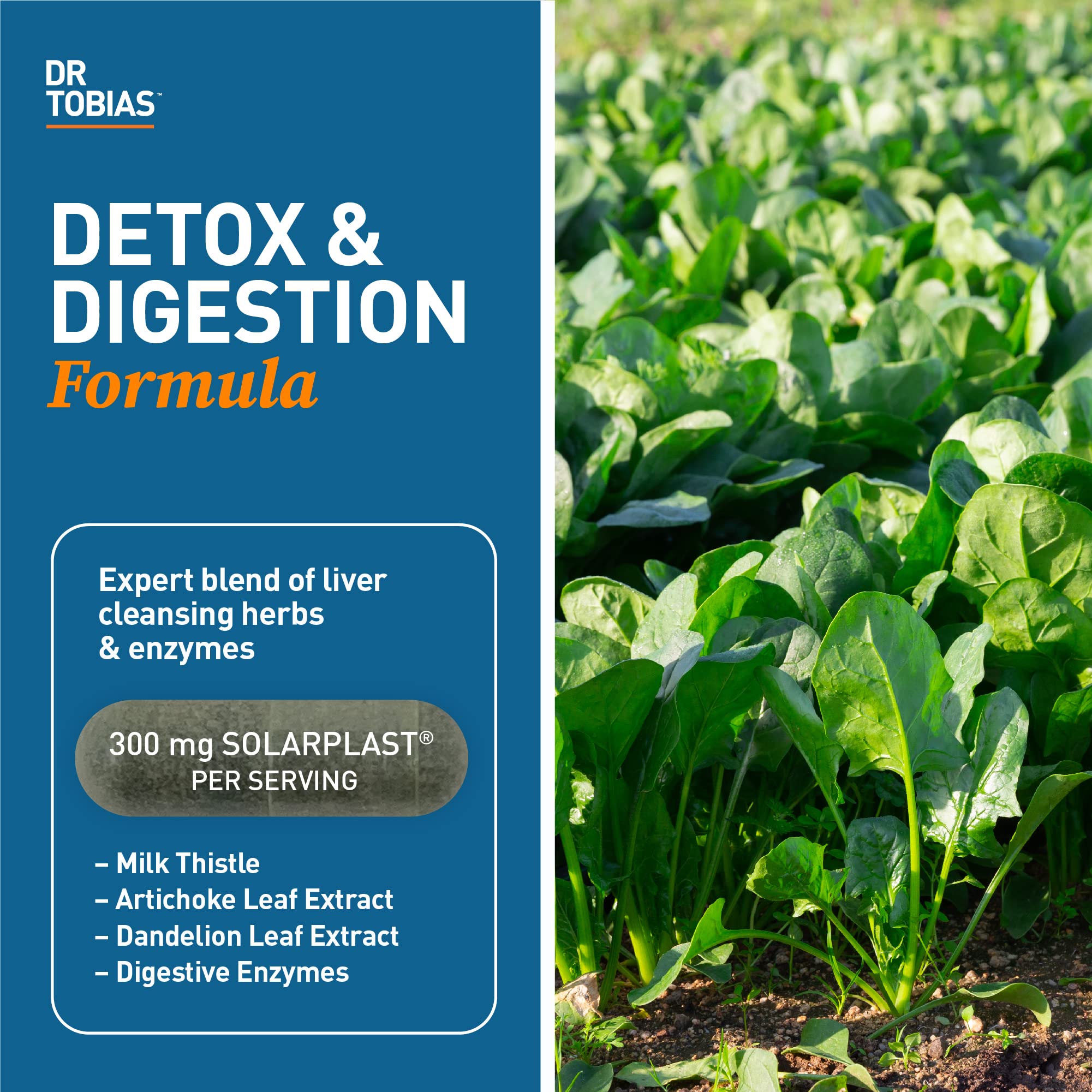 Dr. Tobias Liver 21 Day Cleanse, Herbal Liver Detox Cleanse with Solarplast, Artichoke - AB Mystery
