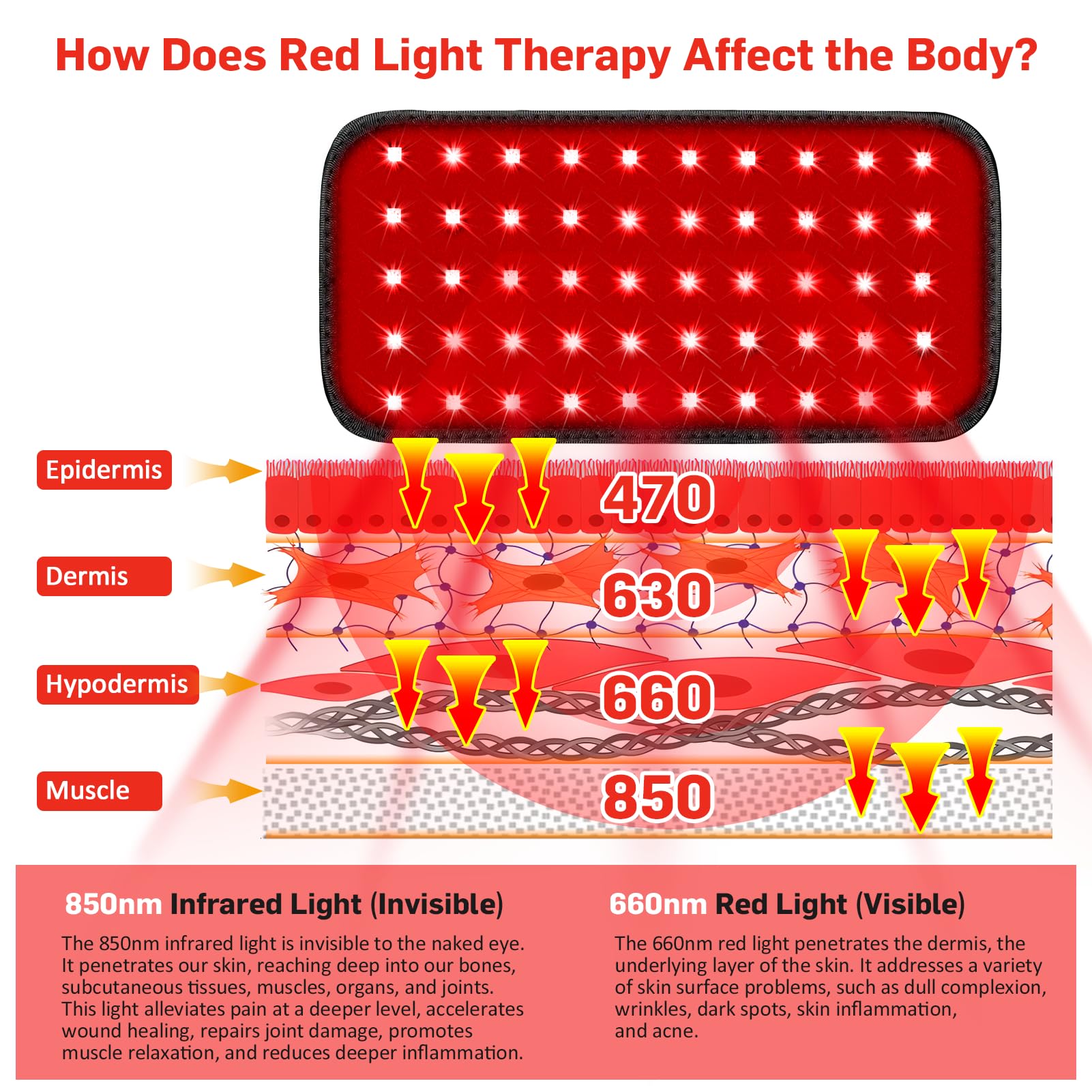 Red Light Therapy Belt, Infrared Light Therapy for Body, Wearable Wrap with Timer - AB Mystery