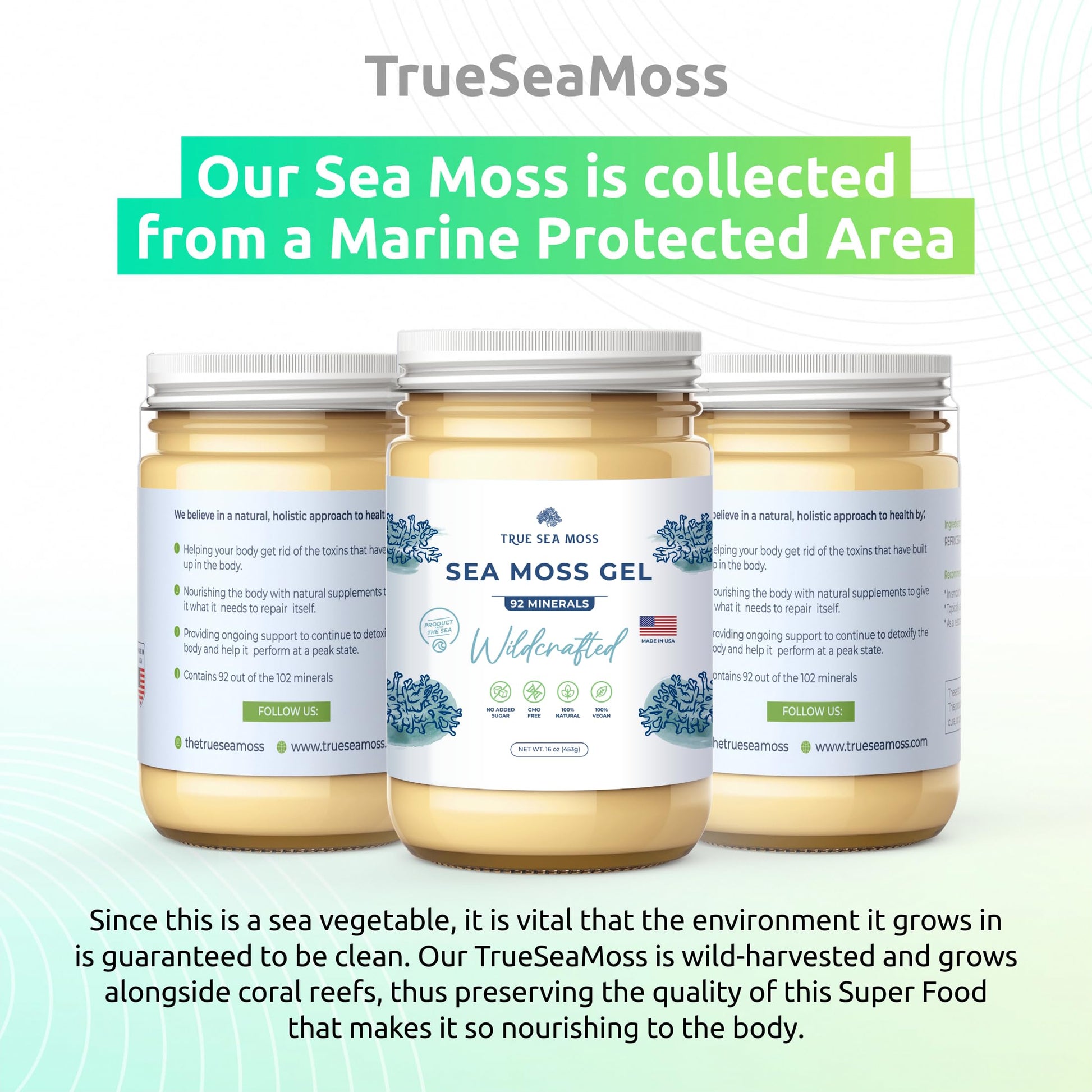 TrueSeaMoss Wildcrafted Irish Sea Moss Gel – Nutritious Raw Seamoss Rich in Minerals - AB Mystery