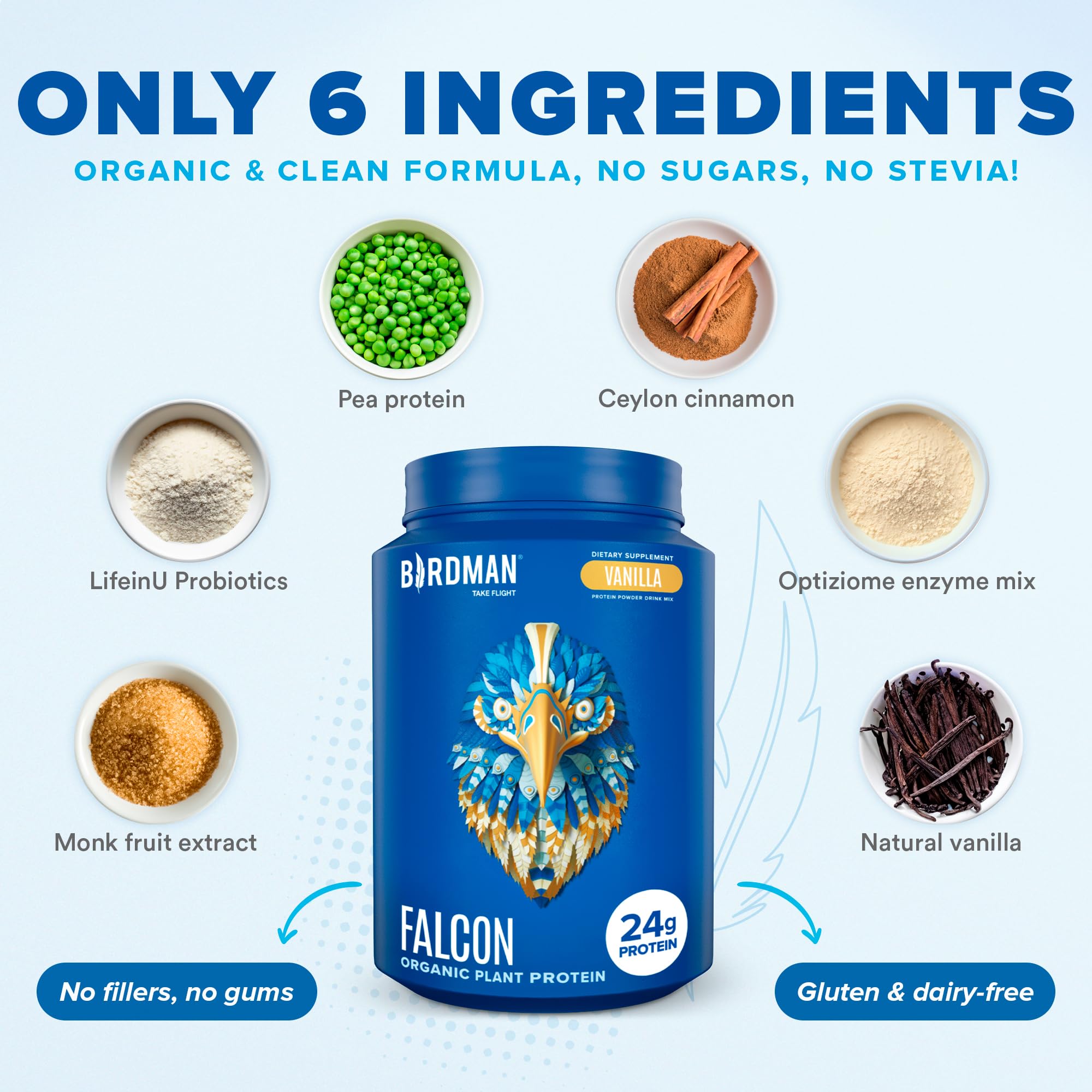 BIRDMAN Falcon Vegan Protein Powder Organic, Stevia & Sugar Free, Plant Based Protein - AB Mystery