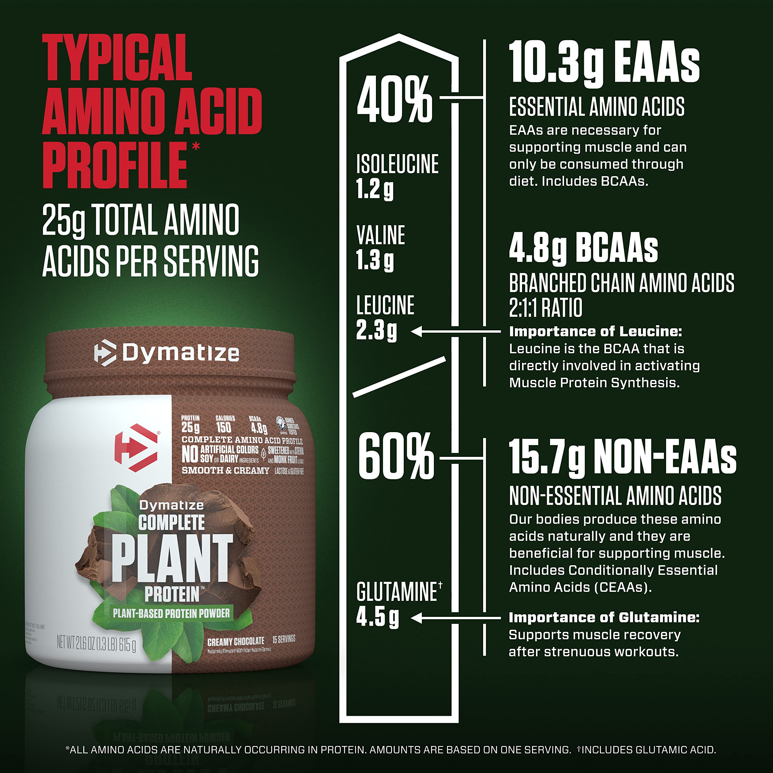 Dymatize Vegan Plant Protein, Creamy Chocolate, 25g Protein, 4.8g BCAAs, Complete - AB Mystery