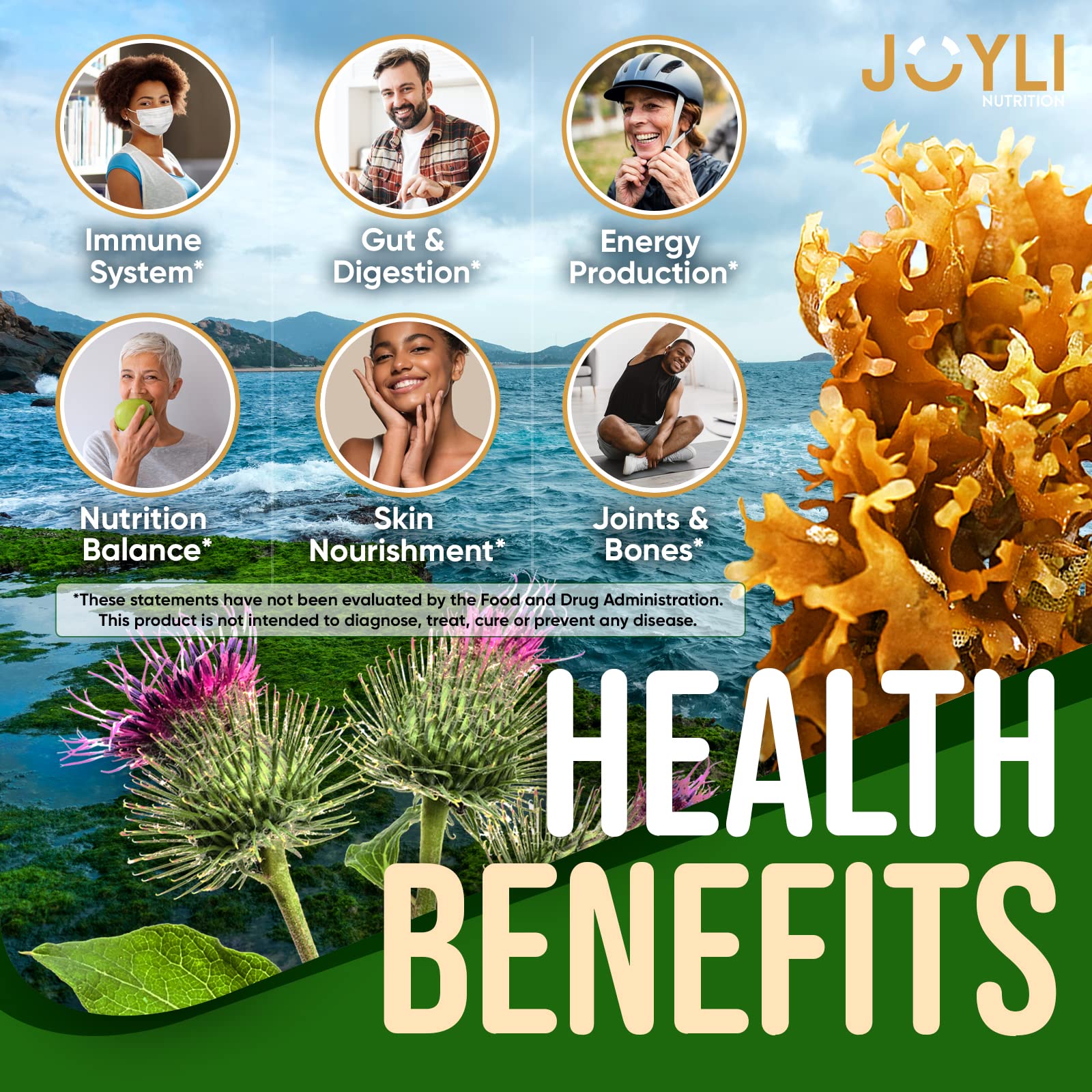 Sea Moss Gummies - Irish Seamoss Gummies for Adults & Kids - Advanced Superfood - AB Mystery