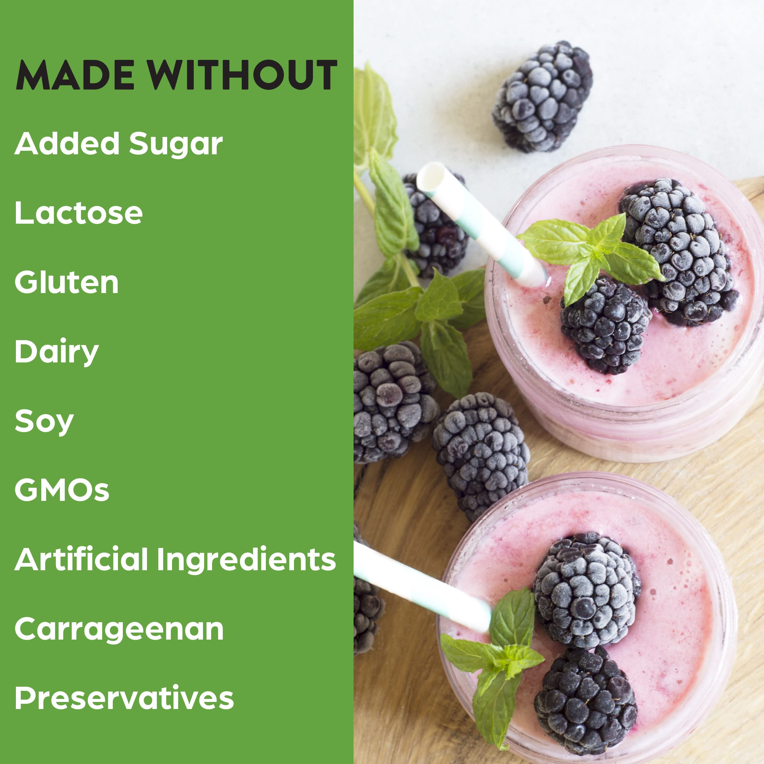 Orgain Organic Vegan Protein Powder, Vanilla Bean - 21g Plant Based Protein, Gluten Free - AB Mystery