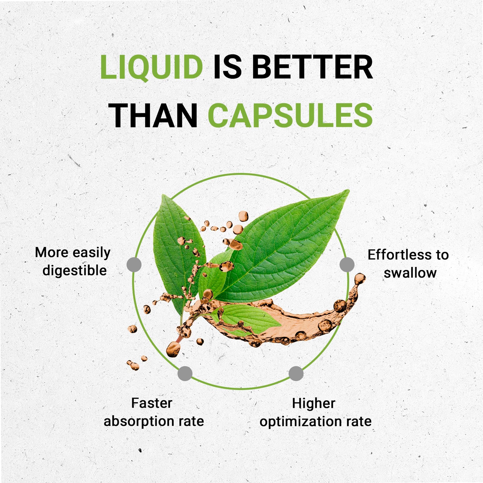 Secrets of the Tribe Cryptolepis Tincture Alcohol-Free Extract, High-Potency Herbal Drops - AB Mystery