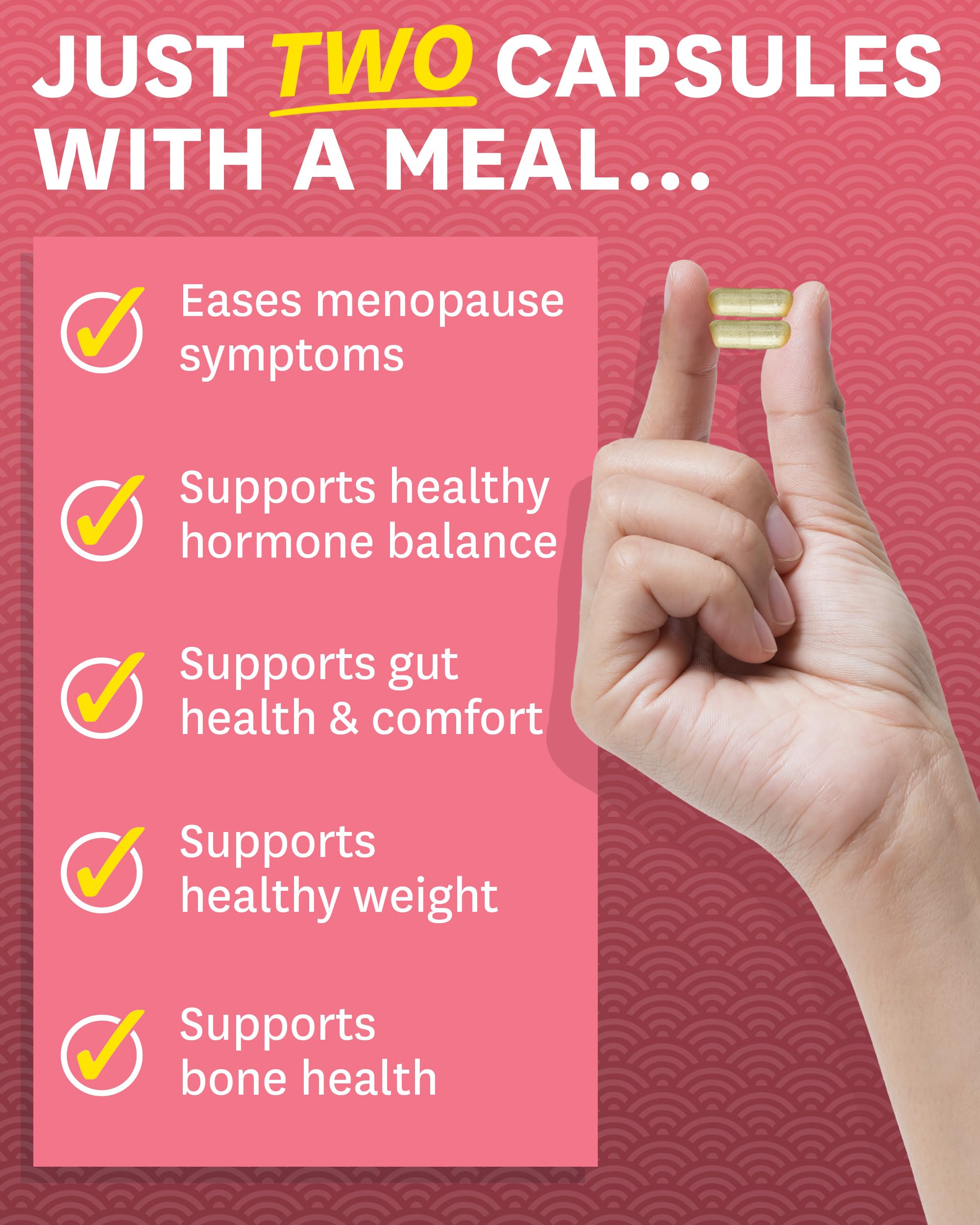 Zenwise Health ZenoPause for Menopause Relief and Weight Management | Digestive Health - AB Mystery