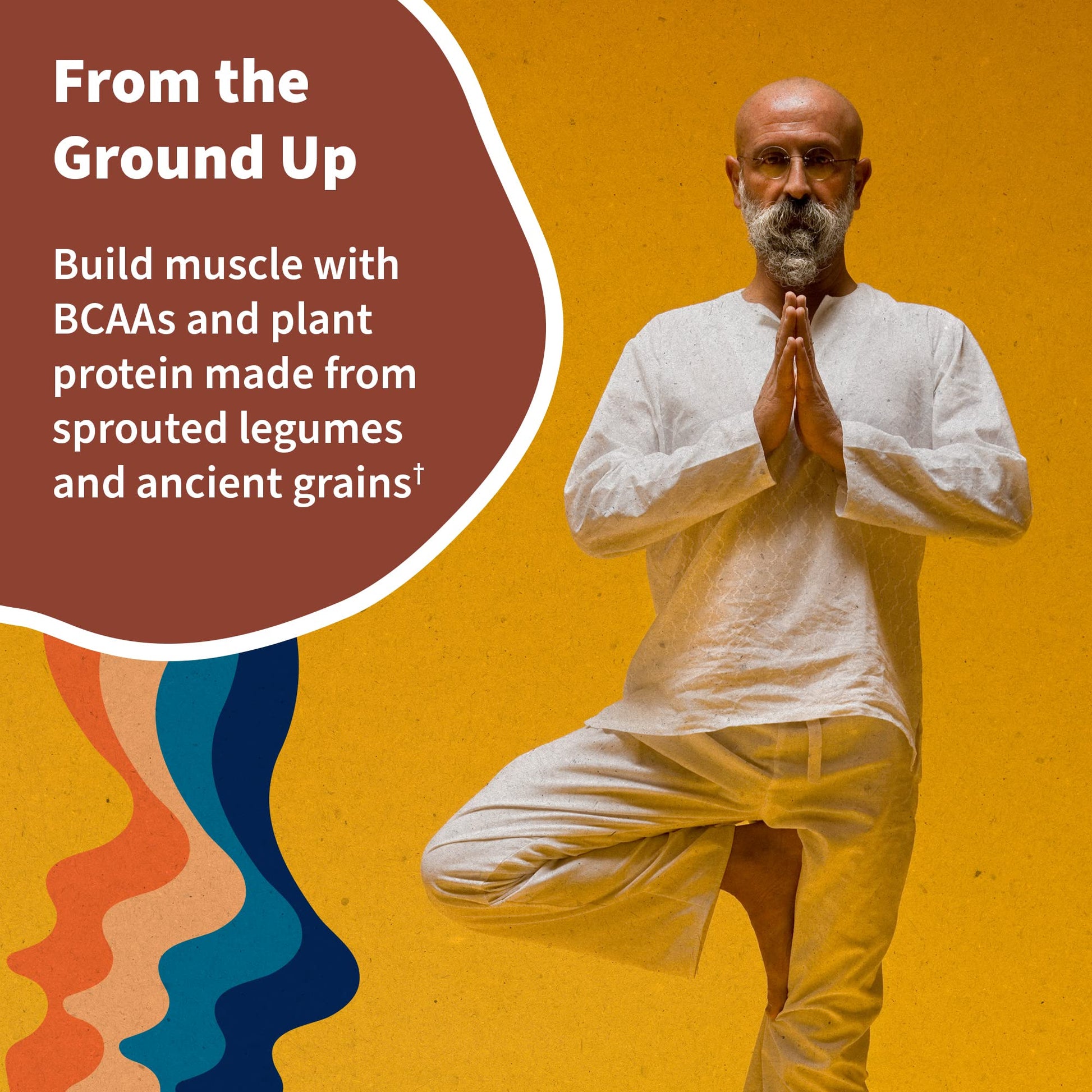 Garden of Life, Organic Vegan Vanilla Chai Protein Powder -22g Complete Plant Based Raw - AB Mystery