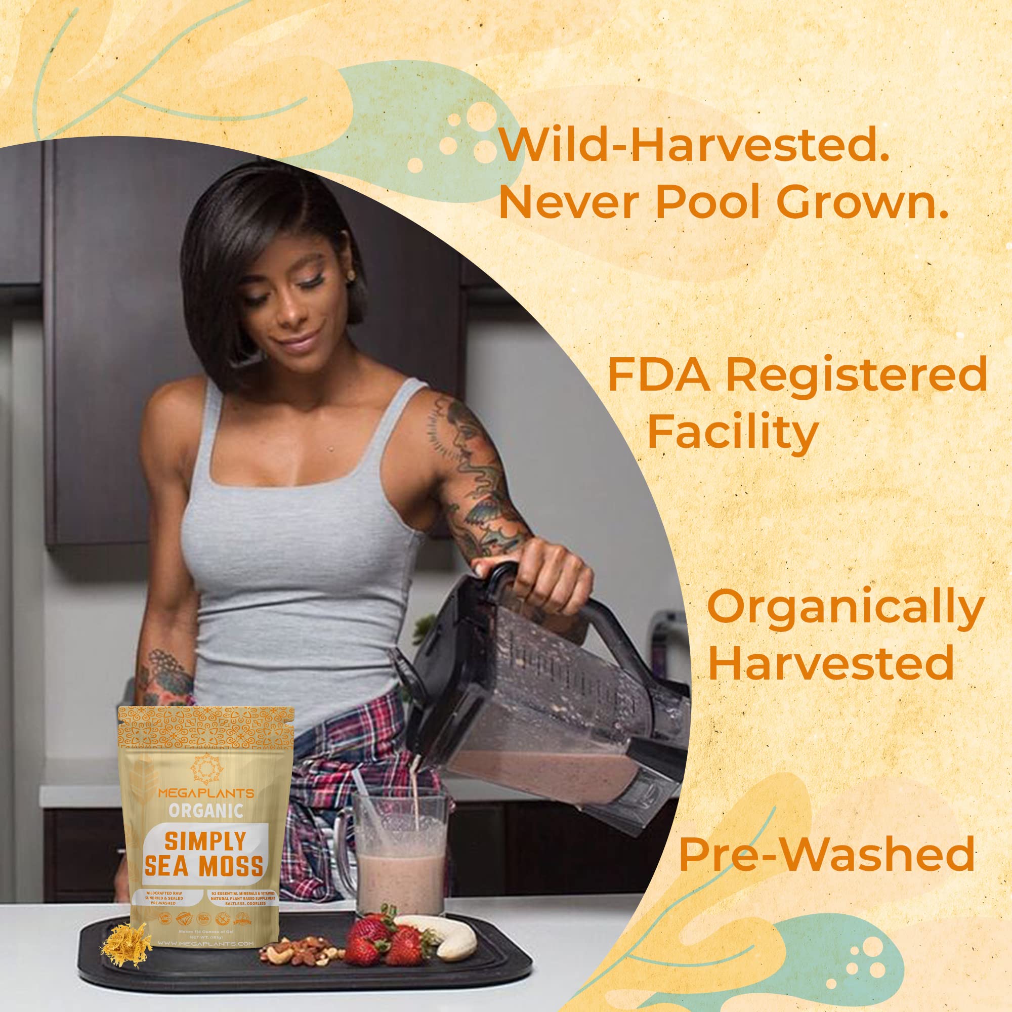 MEGAPLANTS Organic Sea Moss | Makes 228 Servings of Seamoss Gel | Pre-Washed - AB Mystery