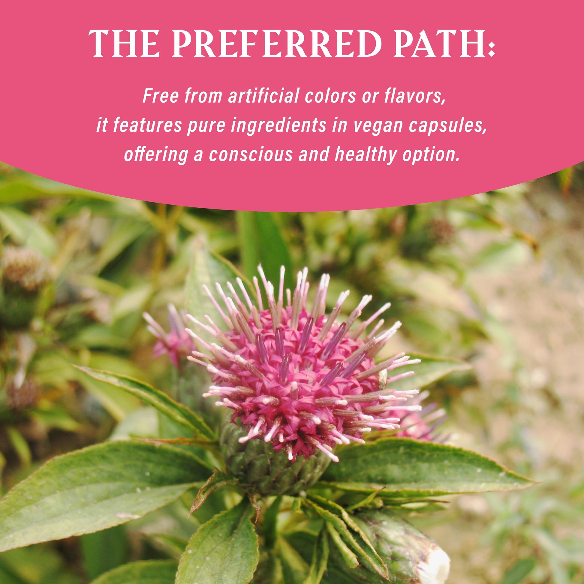 NUWONDER Women's probiotic - Natural Vaginal Support Supplement, Balanced & Confident - AB Mystery